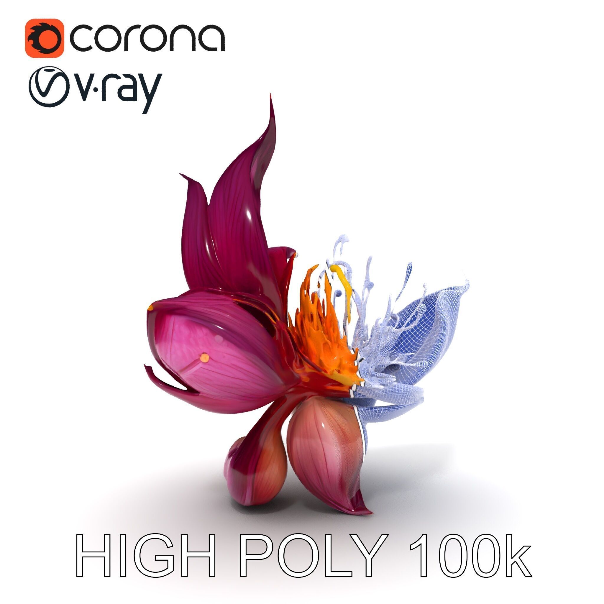 Exotic Flower Model Pack with PBR Textures Low-poly 3D model_26