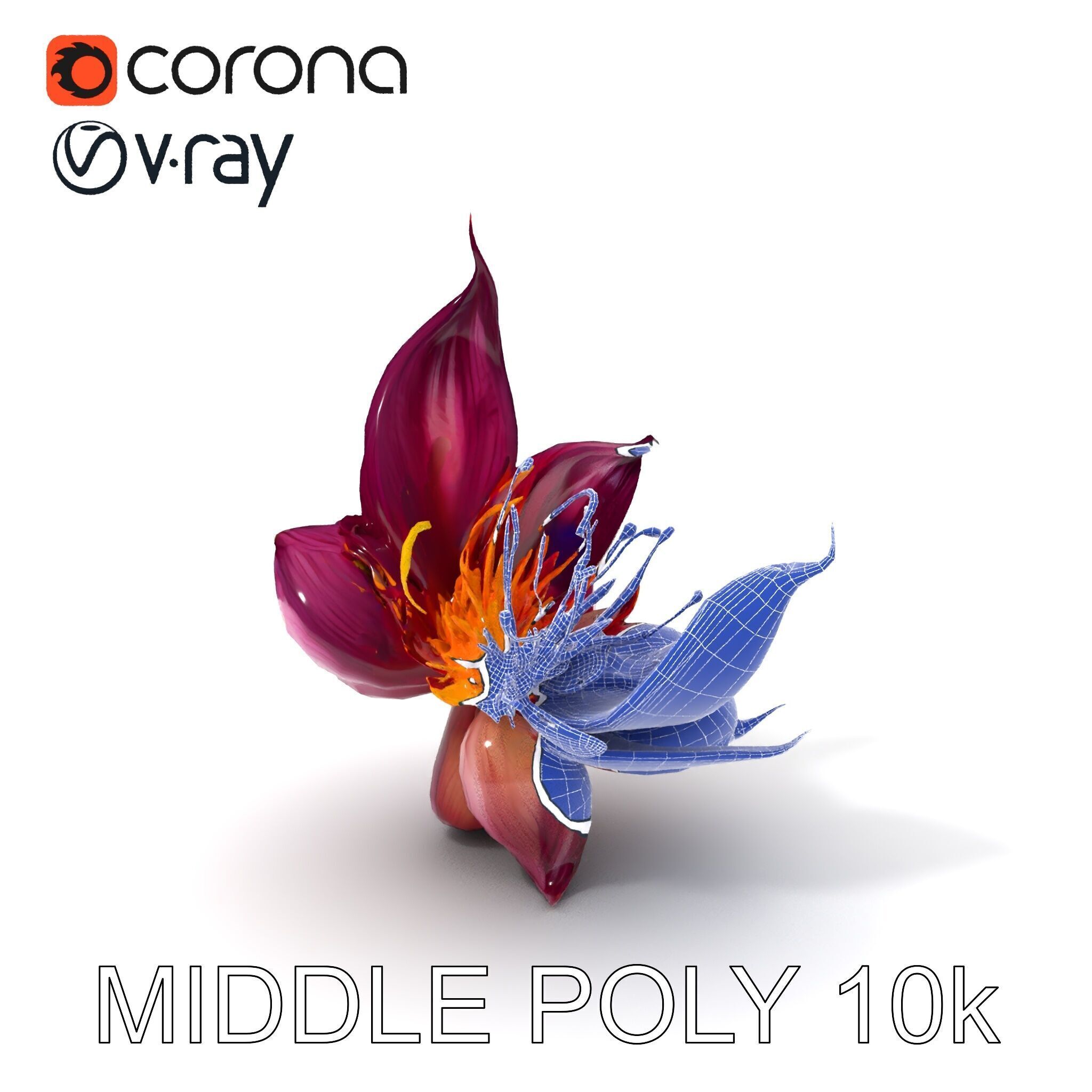 Exotic Flower Model Pack with PBR Textures Low-poly 3D model_29