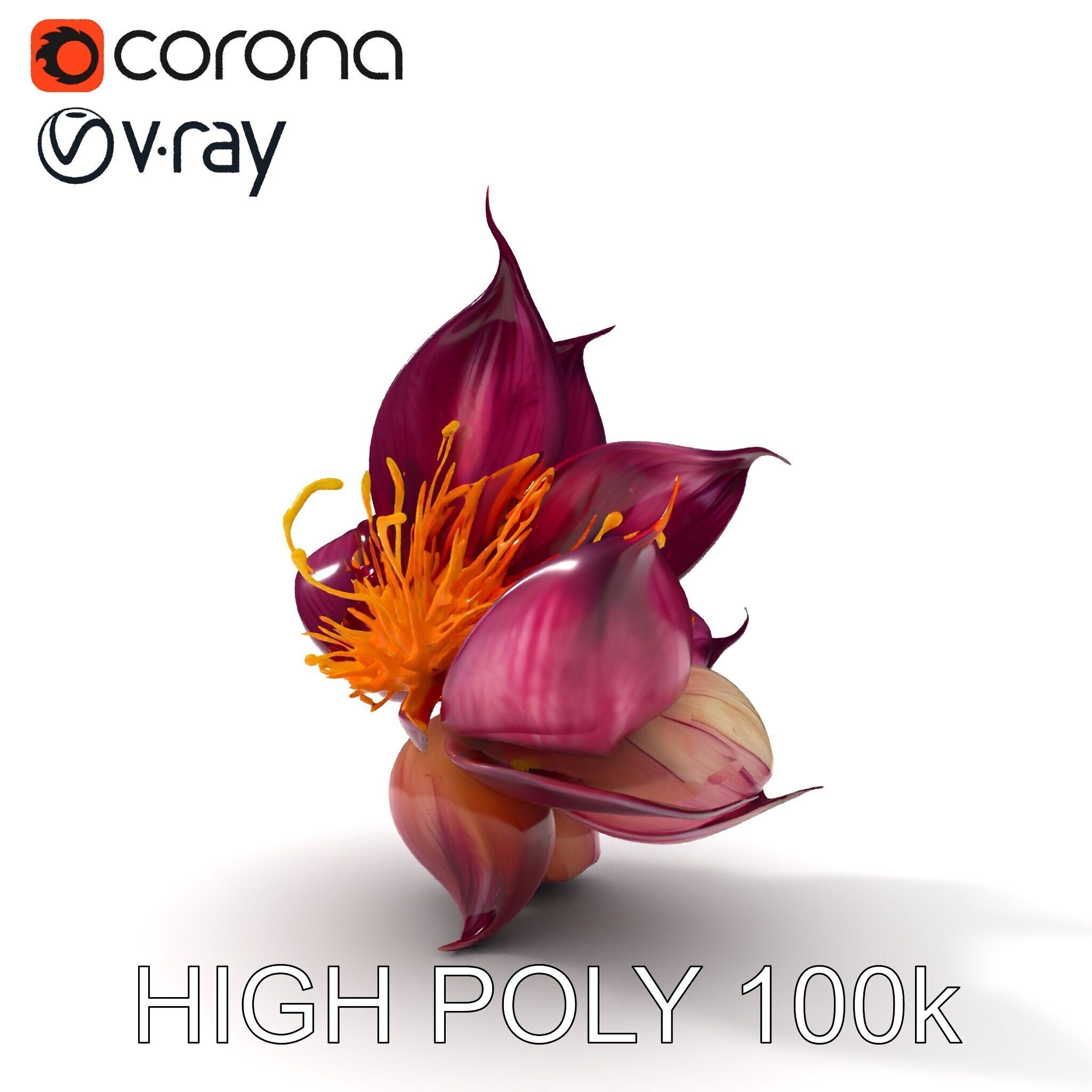 Exotic Flower Model Pack with PBR Textures Low-poly 3D model_10