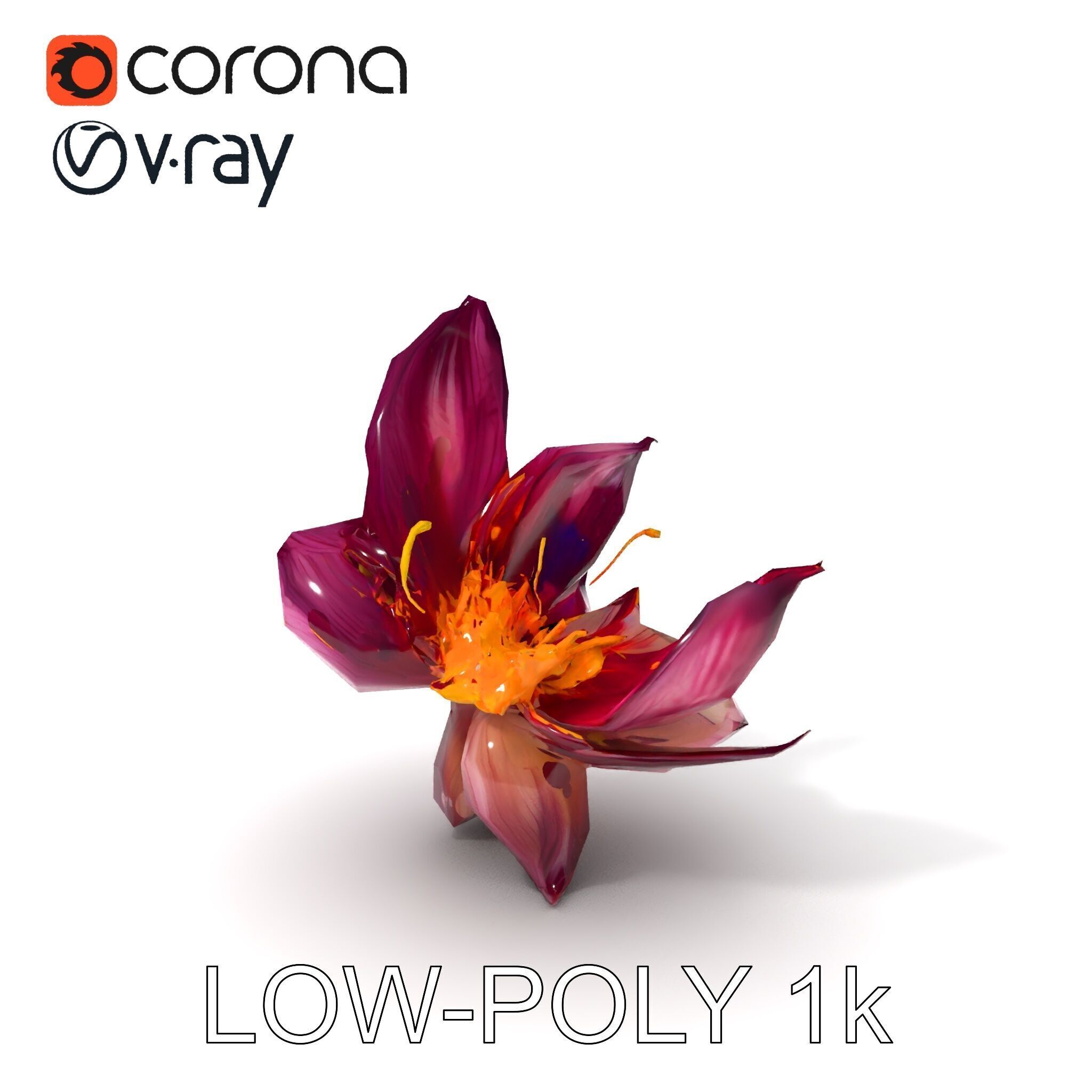 Exotic Flower Model Pack with PBR Textures Low-poly 3D model_25
