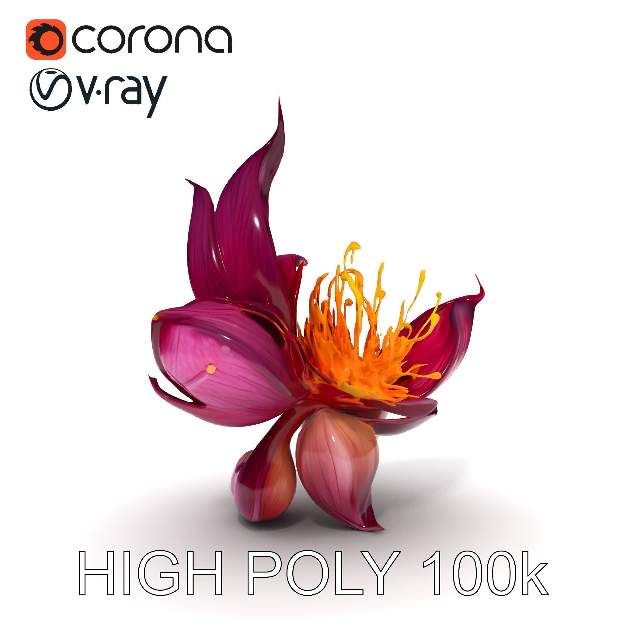 Exotic Flower Model Pack with PBR Textures Low-poly 3D model_31