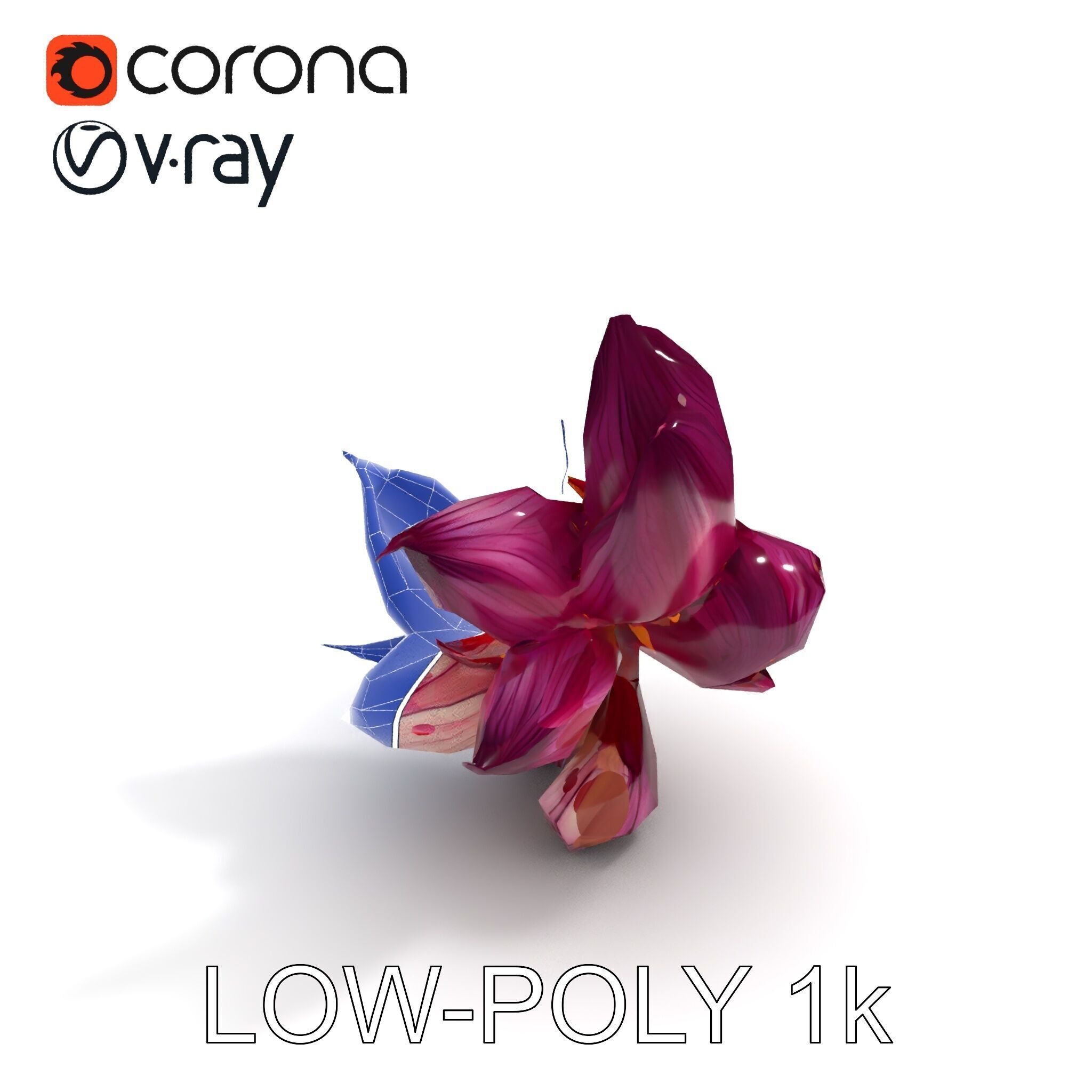 Exotic Flower Model Pack with PBR Textures Low-poly 3D model_14