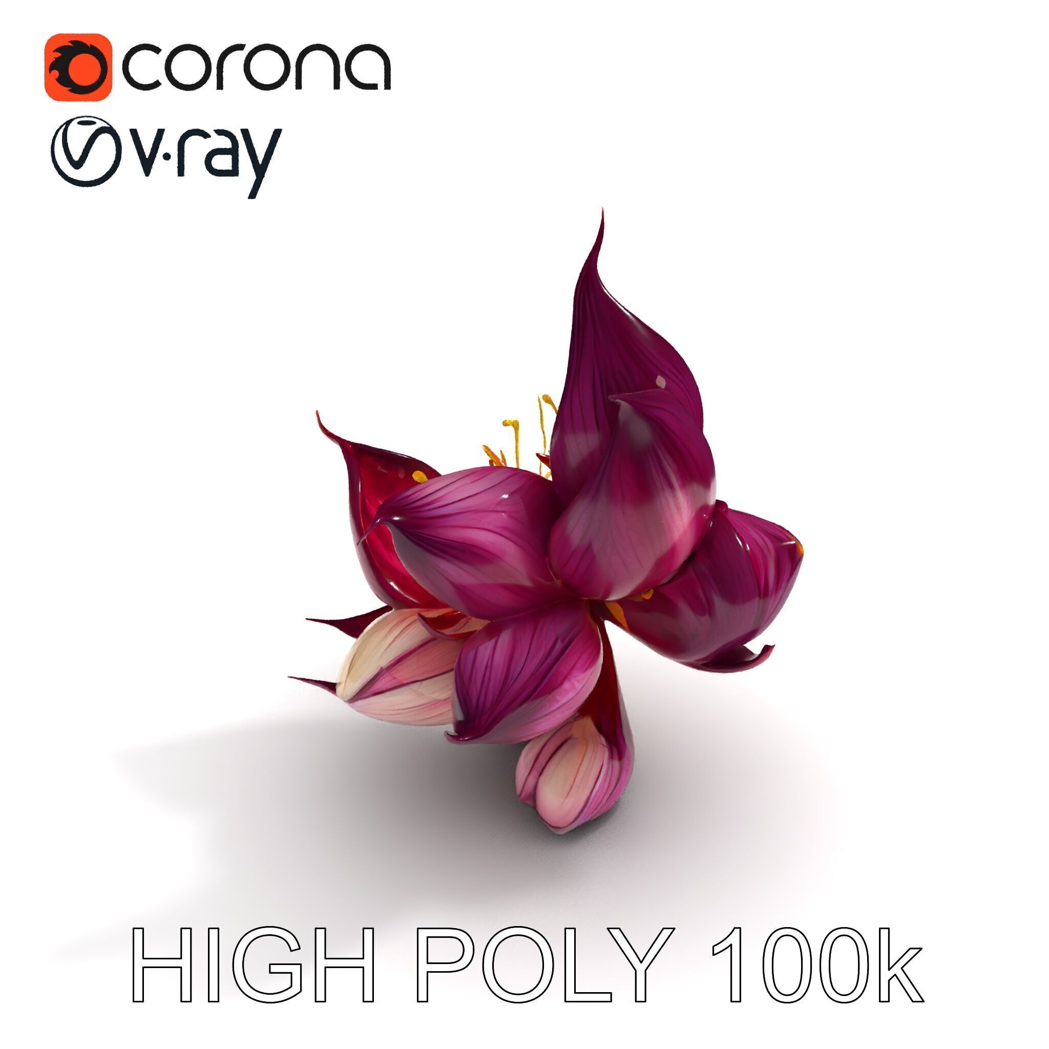 Exotic Flower Model Pack with PBR Textures Low-poly 3D model_35