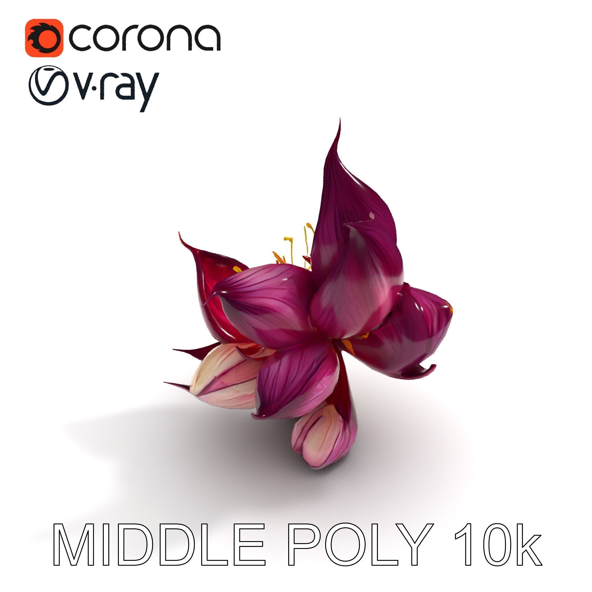 Exotic Flower Model Pack with PBR Textures Low-poly 3D model_32