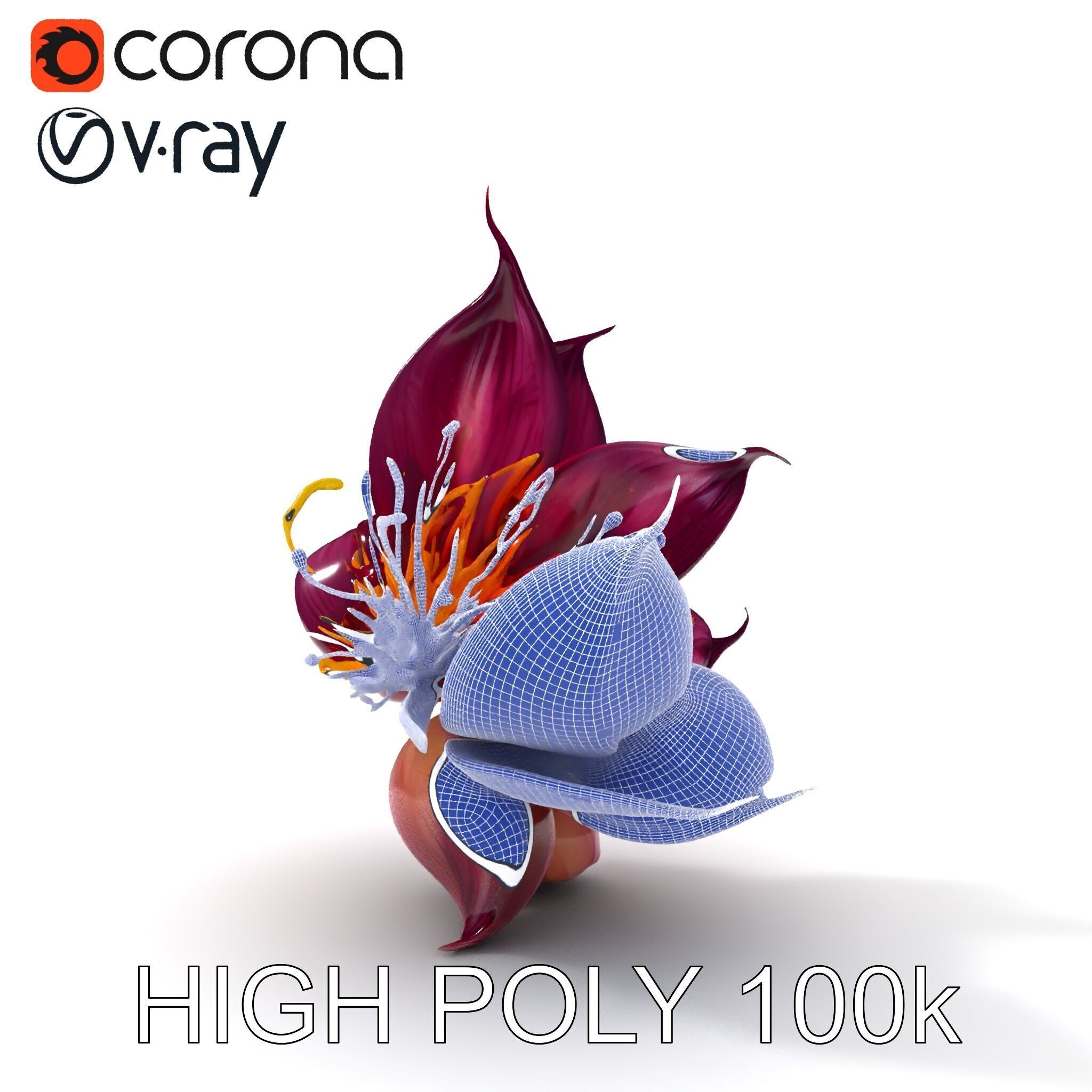 Exotic Flower Model Pack with PBR Textures Low-poly 3D model_18