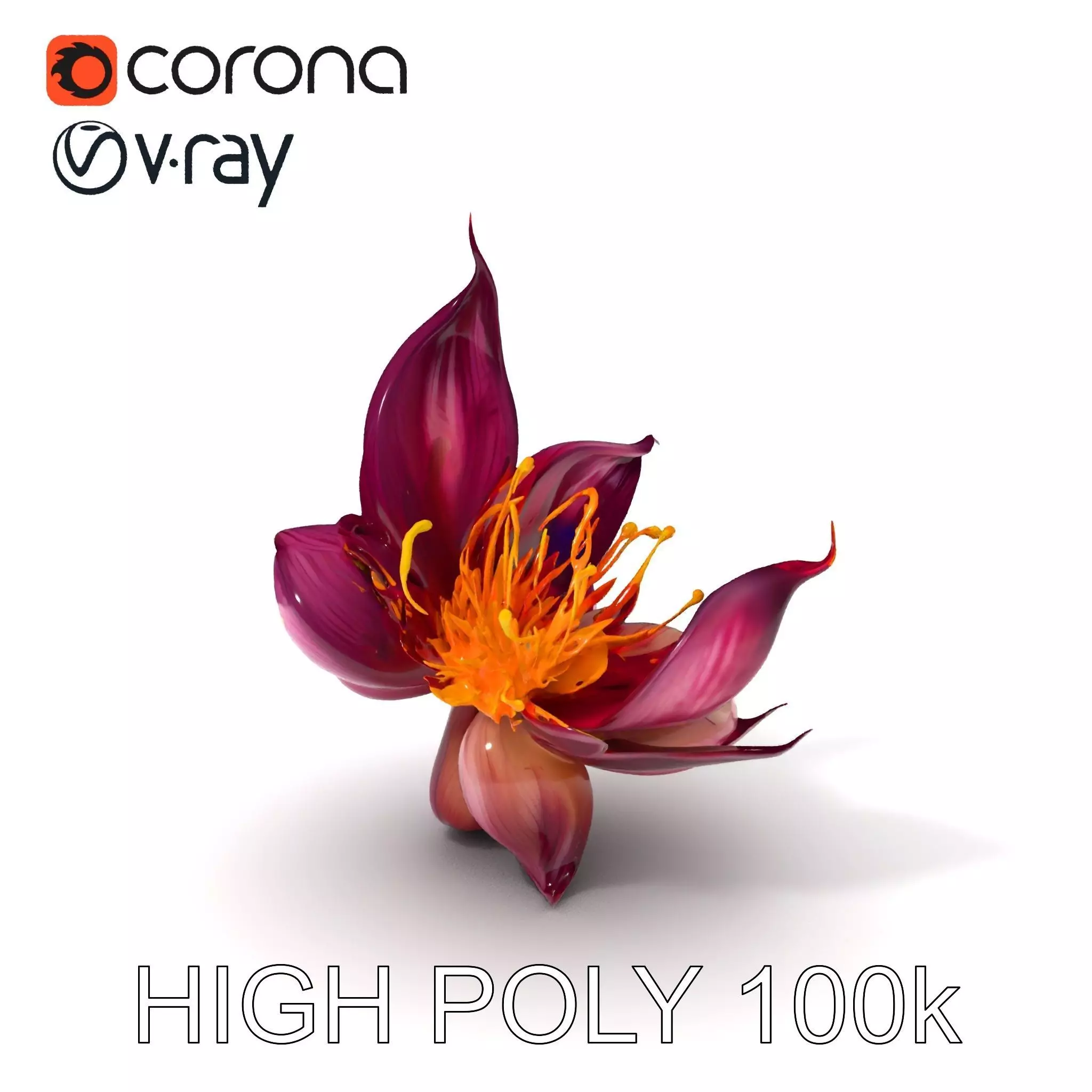 Exotic Flower Model Pack with PBR Textures Low-poly 3D model_0