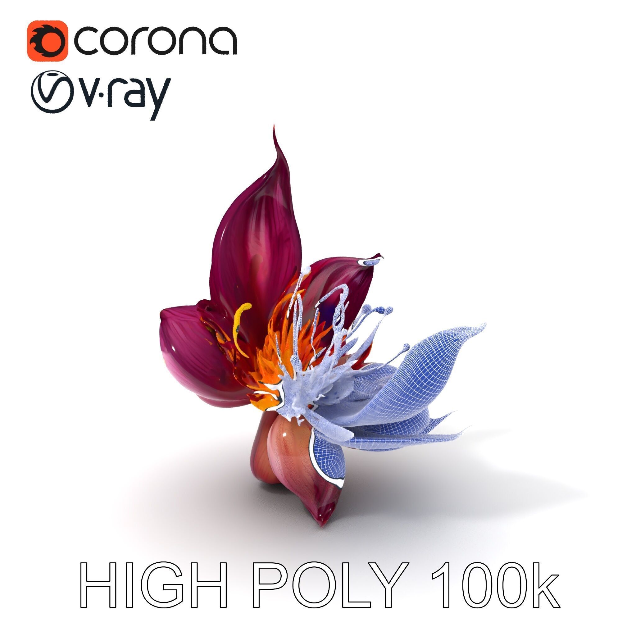 Exotic Flower Model Pack with PBR Textures Low-poly 3D model_3