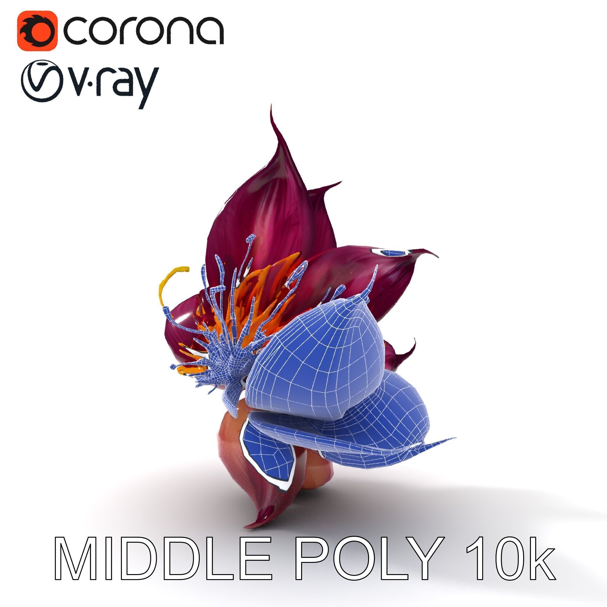 Exotic Flower Model Pack with PBR Textures Low-poly 3D model_22