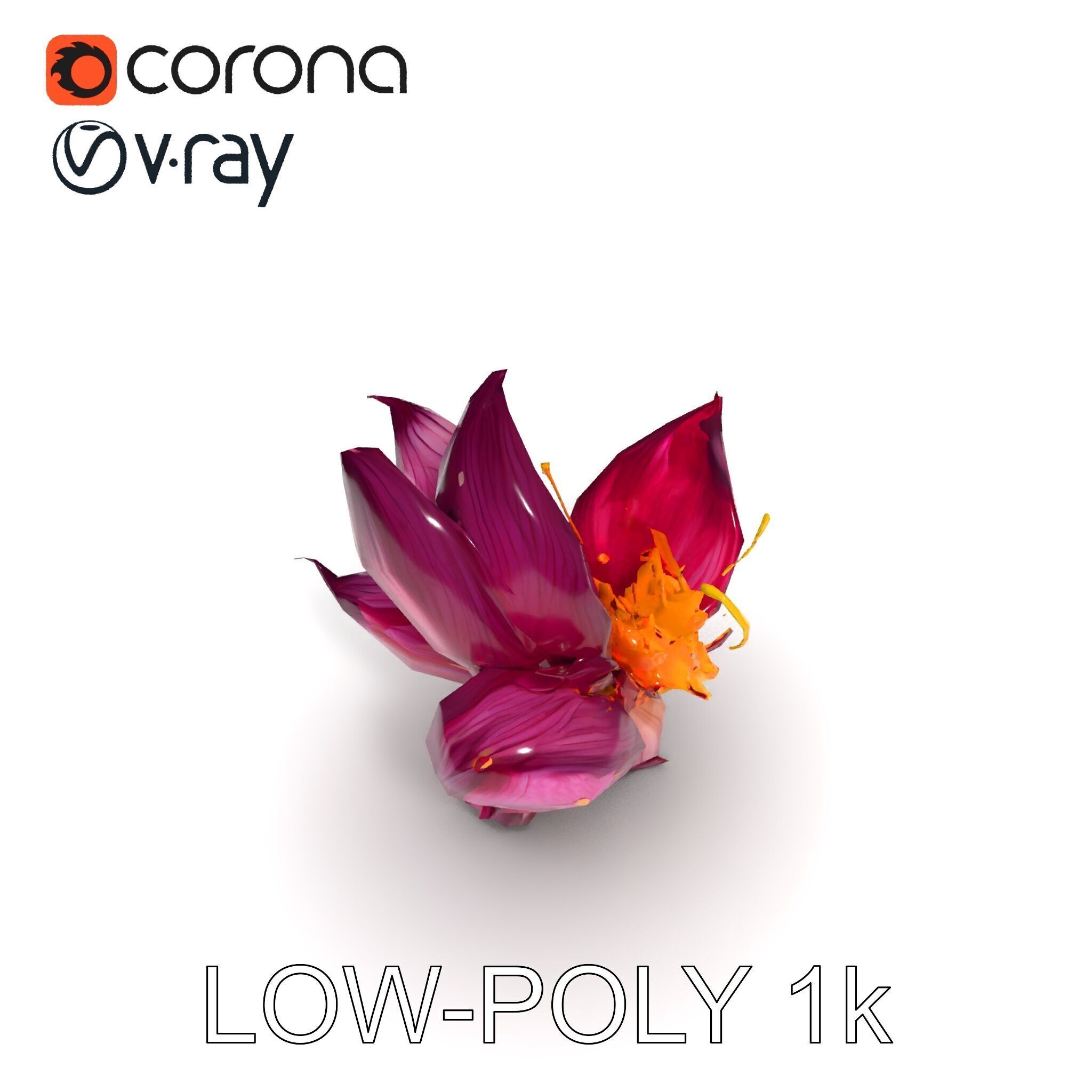 Exotic Flower Model Pack with PBR Textures Low-poly 3D model_7