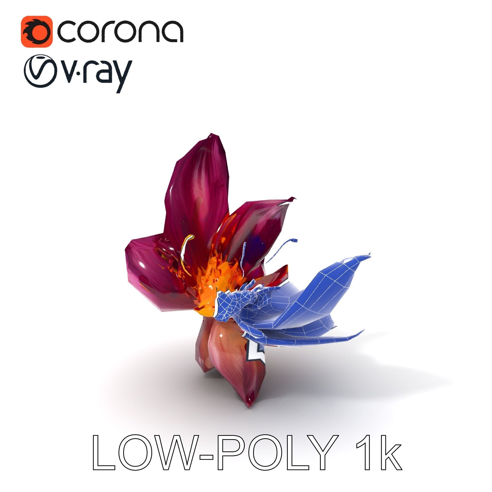Exotic Flower Model Pack with PBR Textures Low-poly 3D model_30