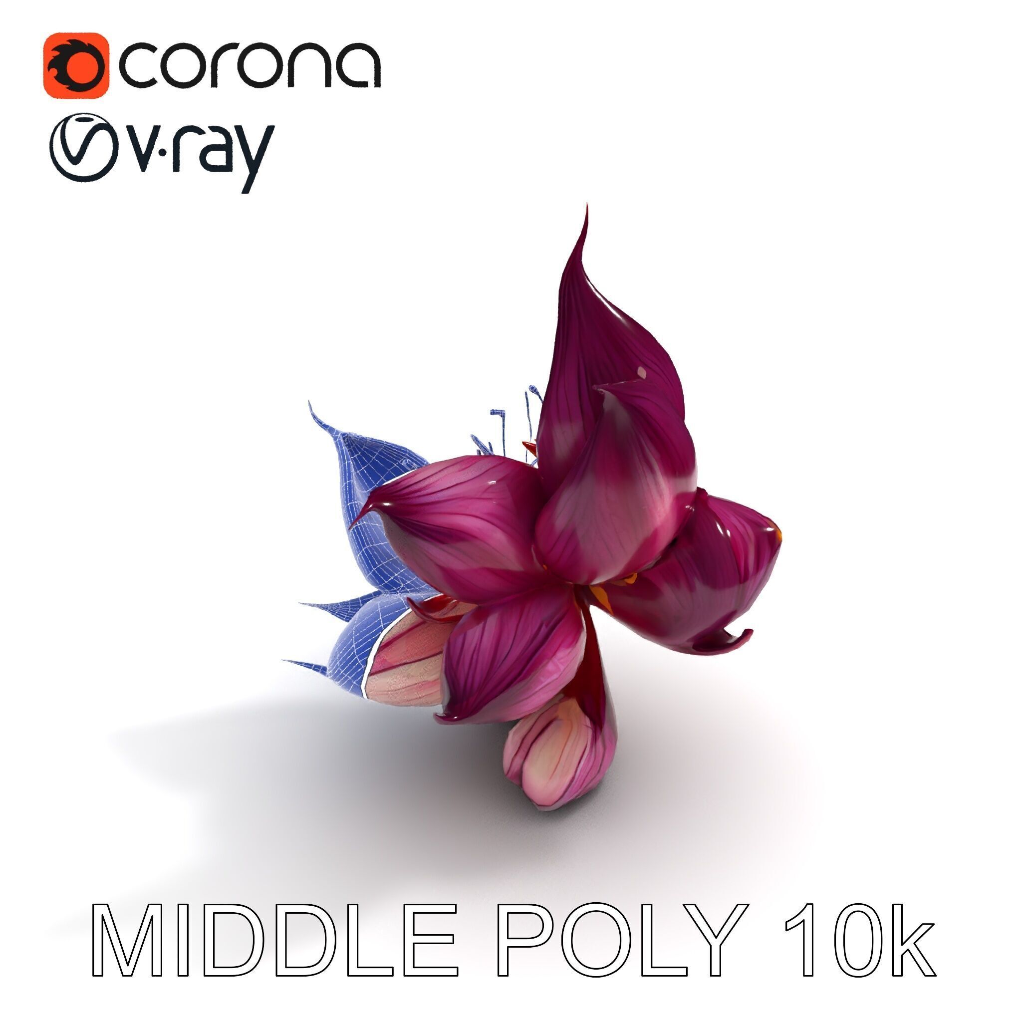 Exotic Flower Model Pack with PBR Textures Low-poly 3D model_19