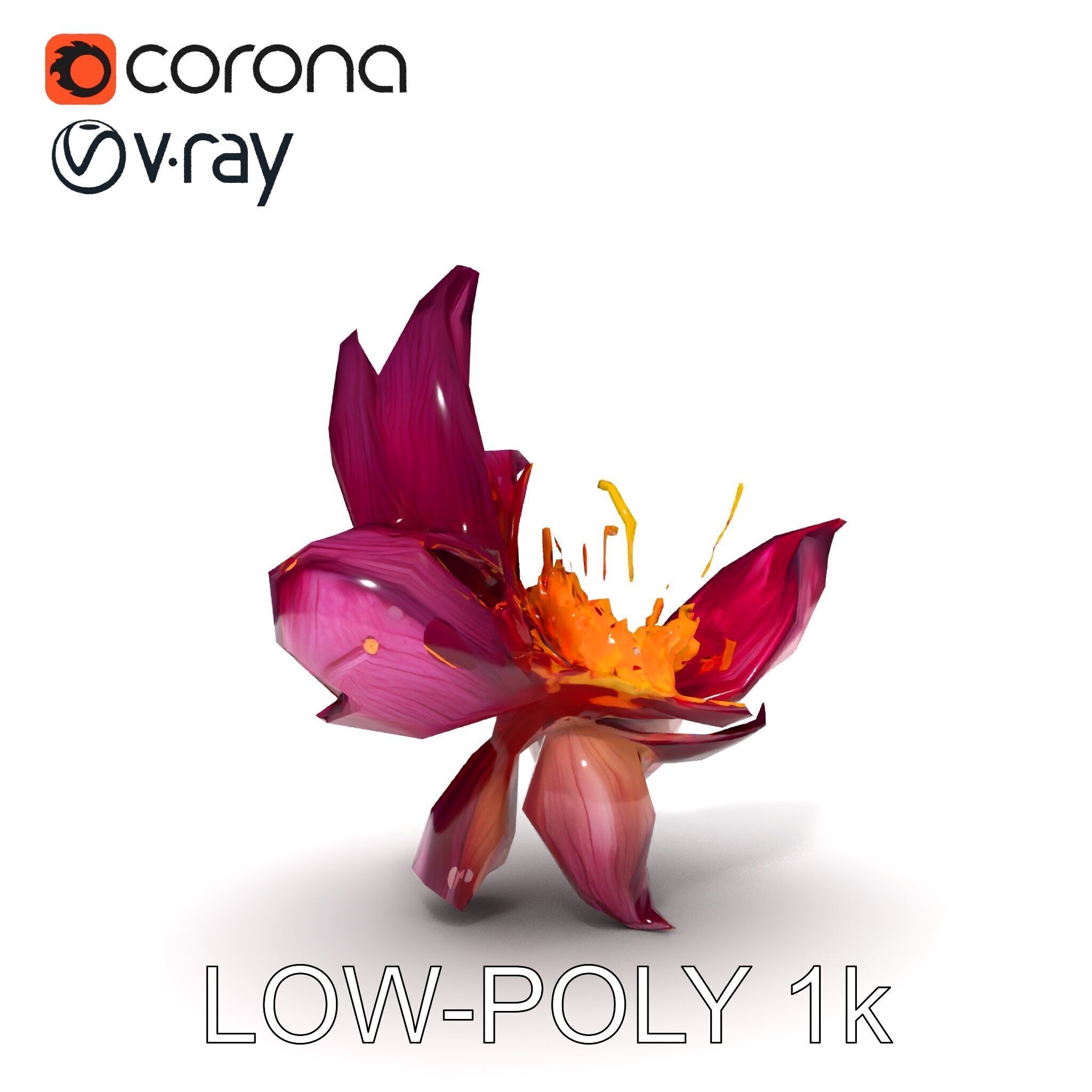 Exotic Flower Model Pack with PBR Textures Low-poly 3D model_23