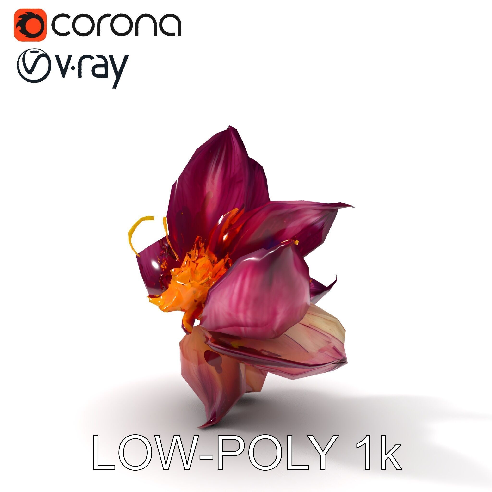 Exotic Flower Model Pack with PBR Textures Low-poly 3D model_20