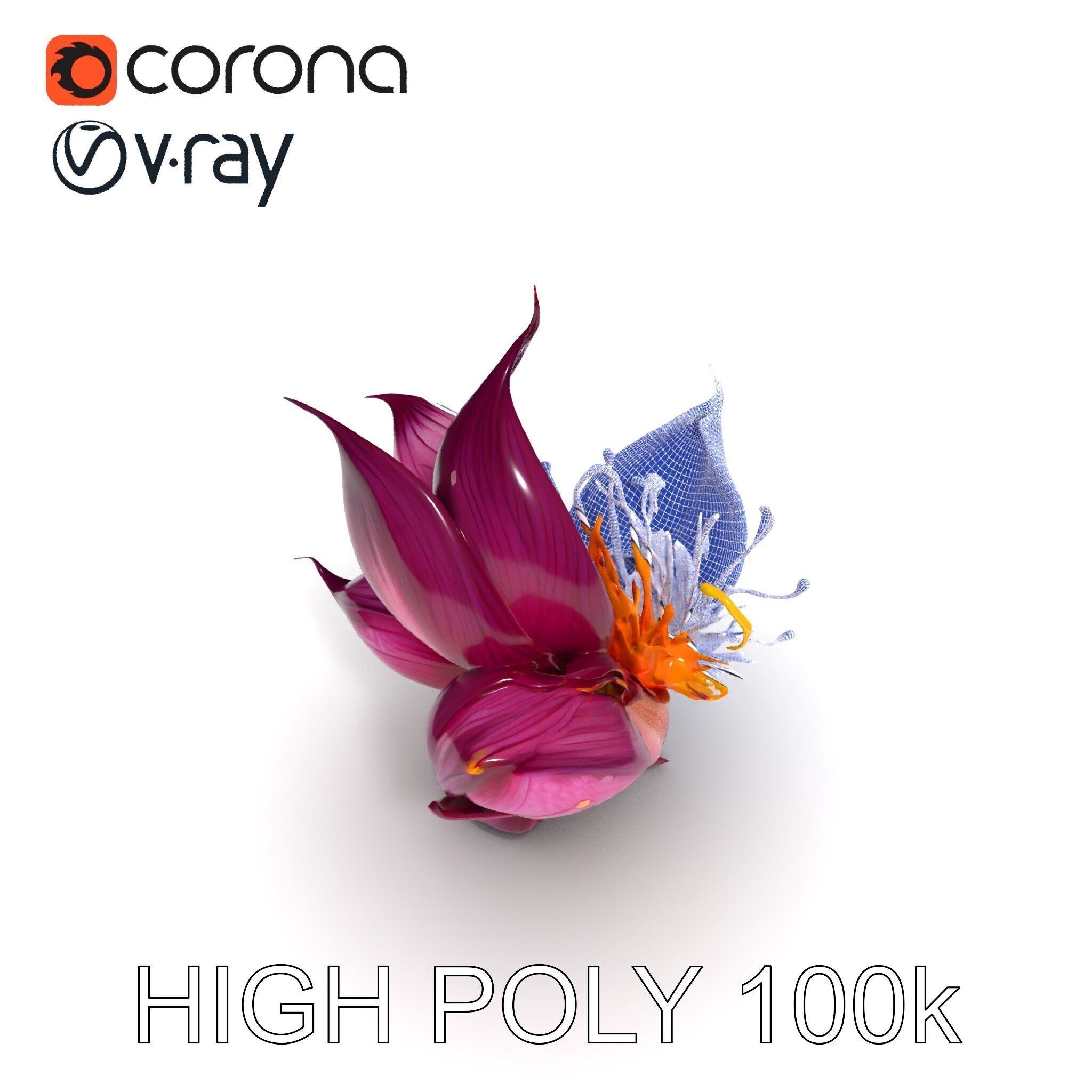Exotic Flower Model Pack with PBR Textures Low-poly 3D model_15