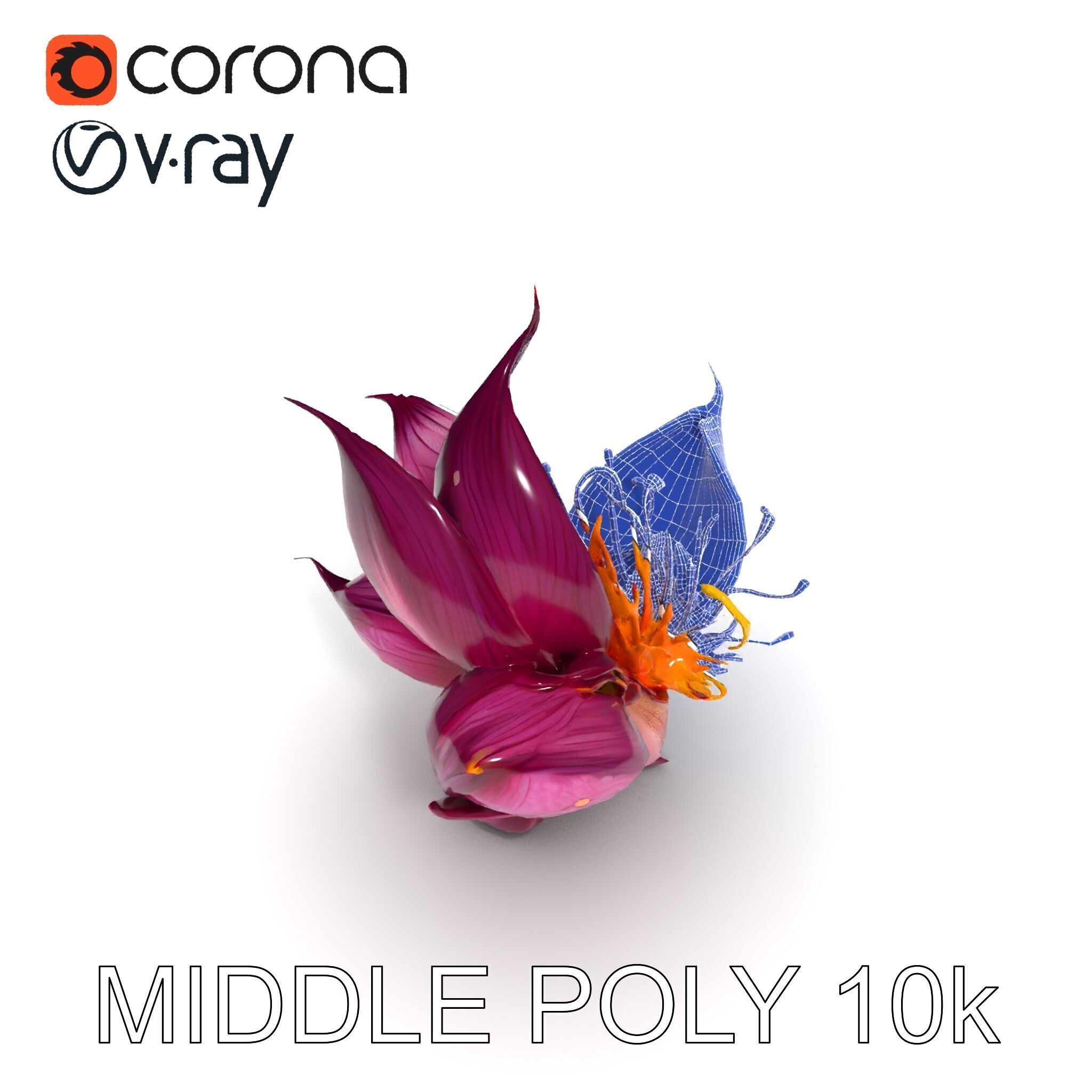 Exotic Flower Model Pack with PBR Textures Low-poly 3D model_13