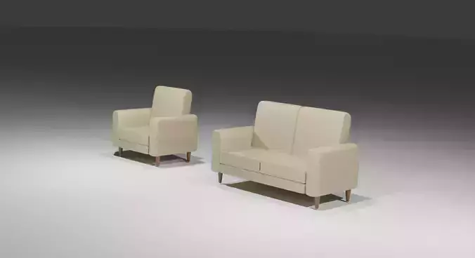 1 Seat Sofa And 2 Seat Sofa