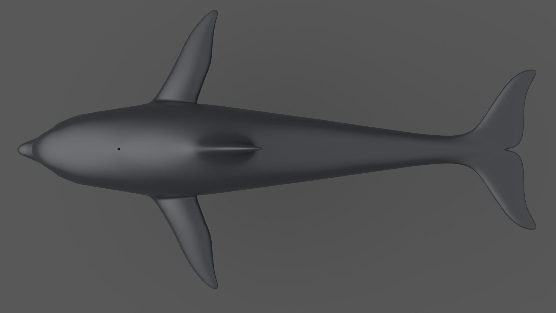 Dolphin 3D model_3