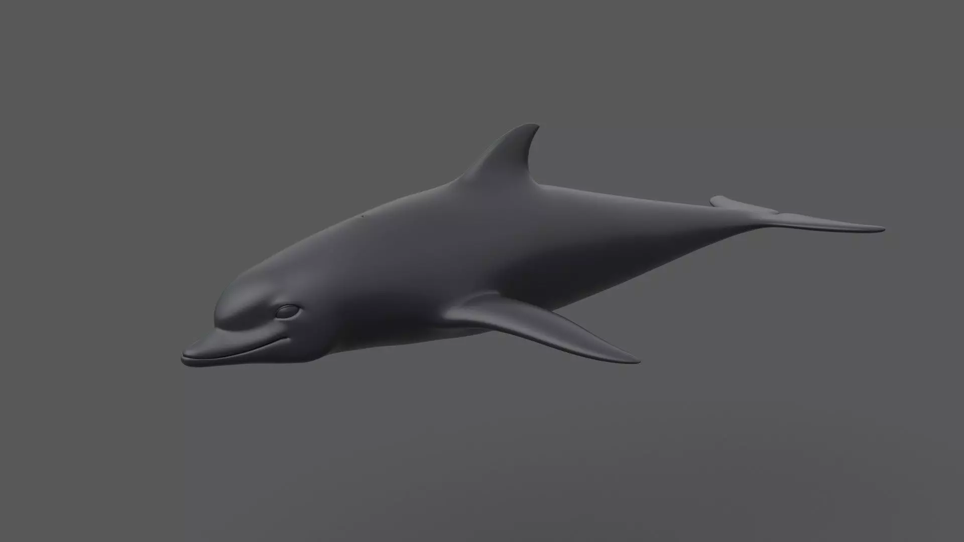 Dolphin 3D model_0