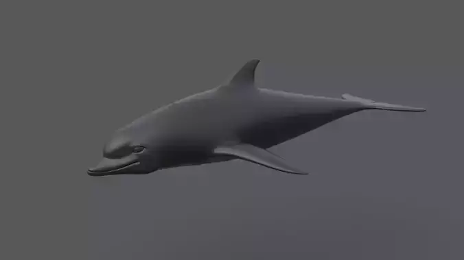 Dolphin