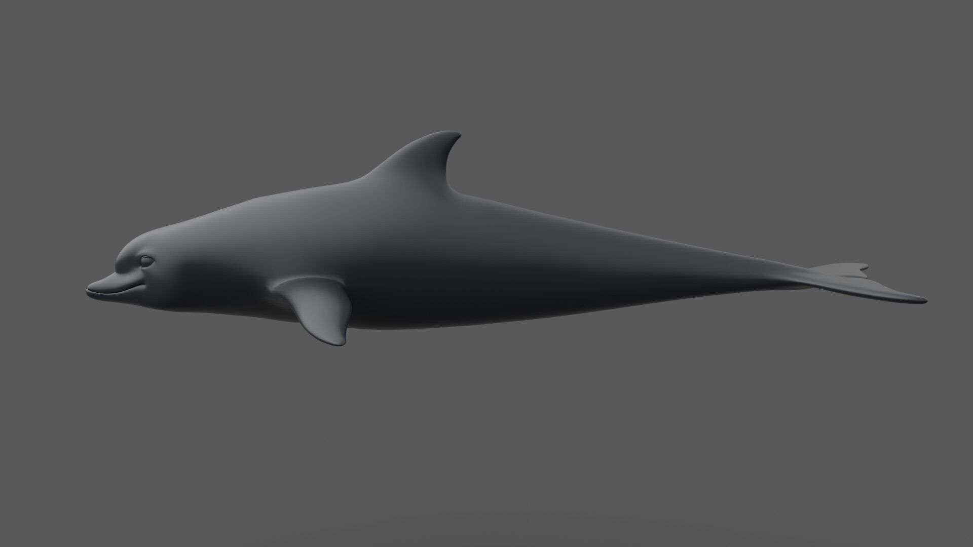 Dolphin 3D model_1