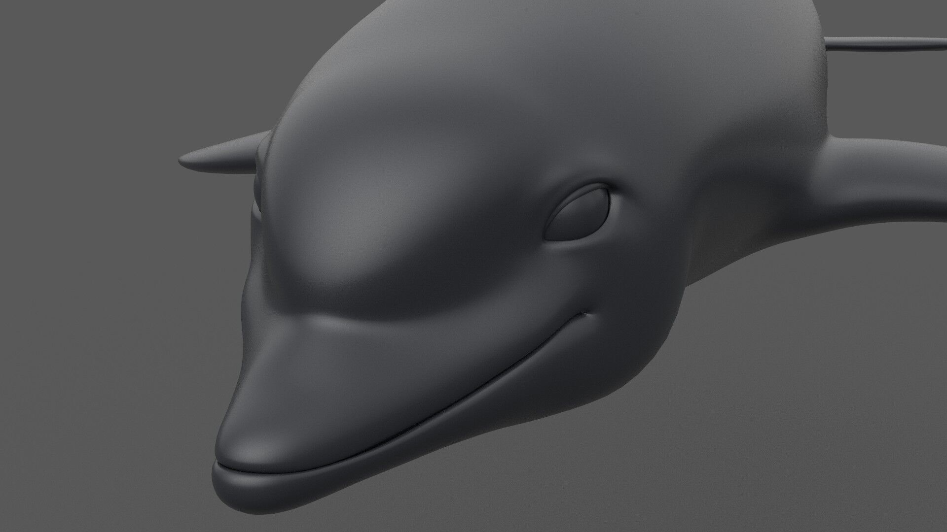Dolphin 3D model_5