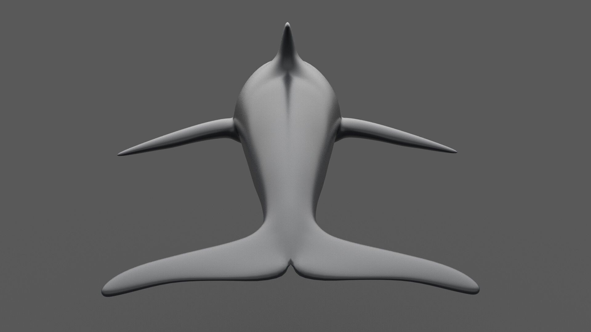 Dolphin 3D model_4