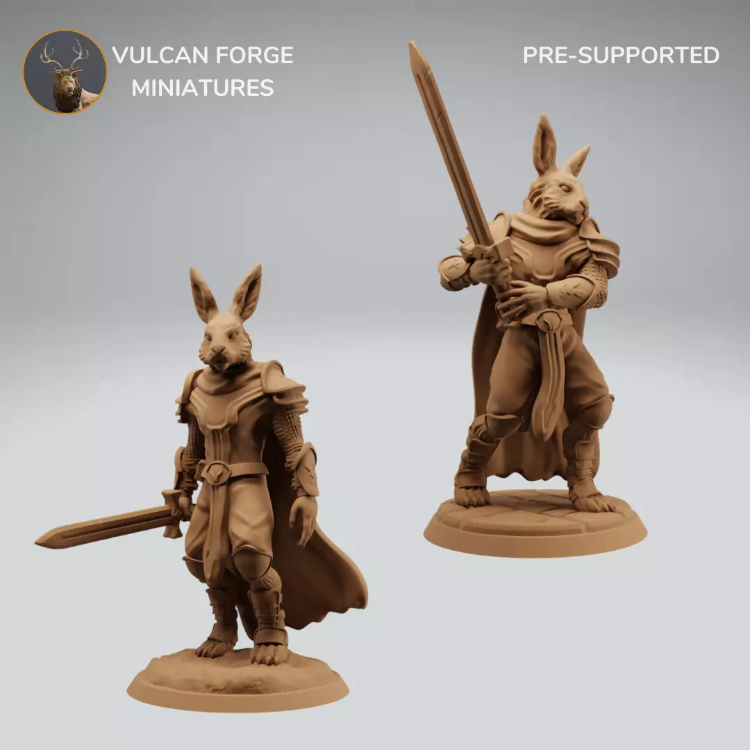 Harengon Rabbit Folk Knight or Paladin Bundle 3D print model