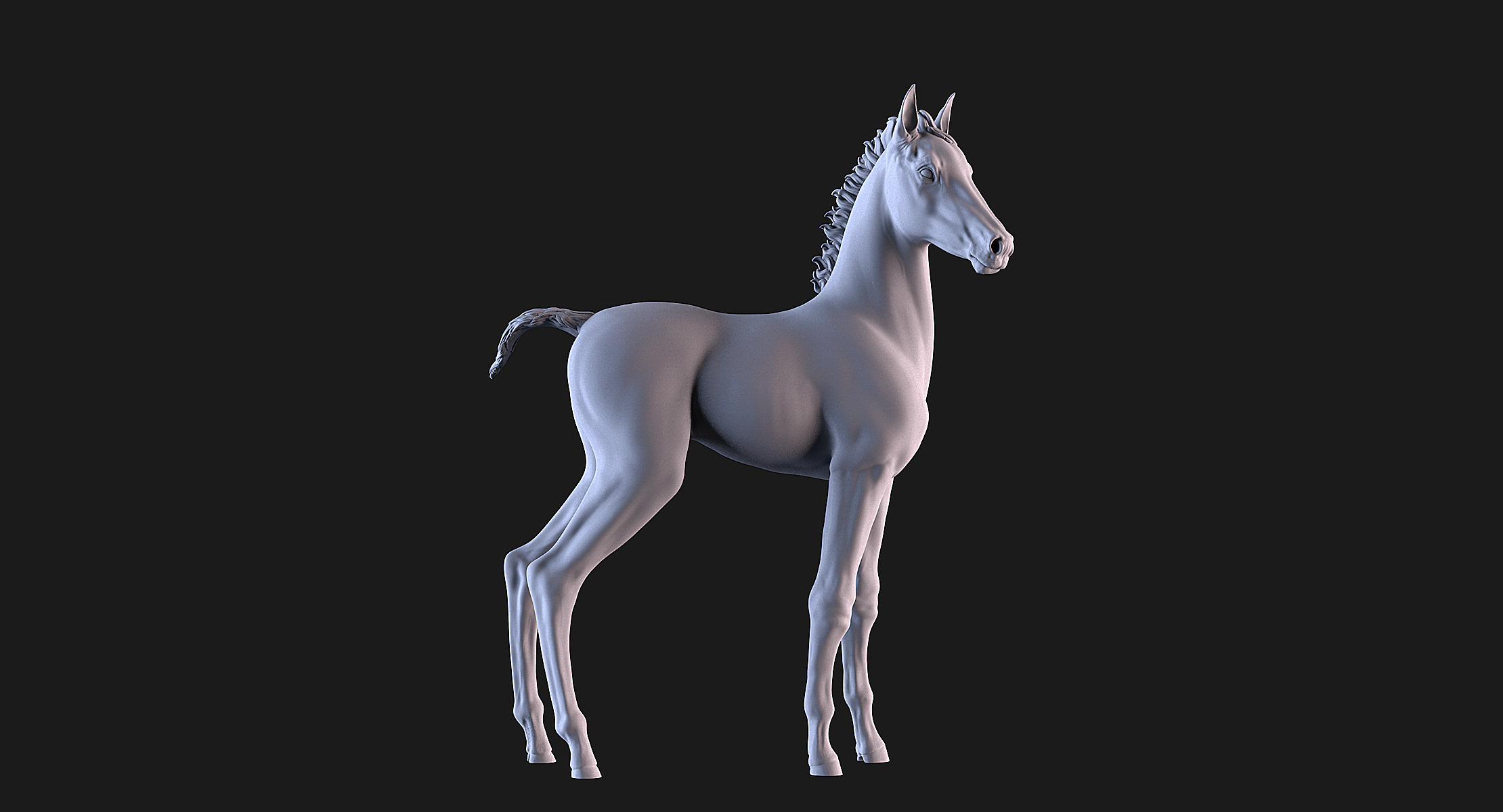 Horse Foal 3D print model_1