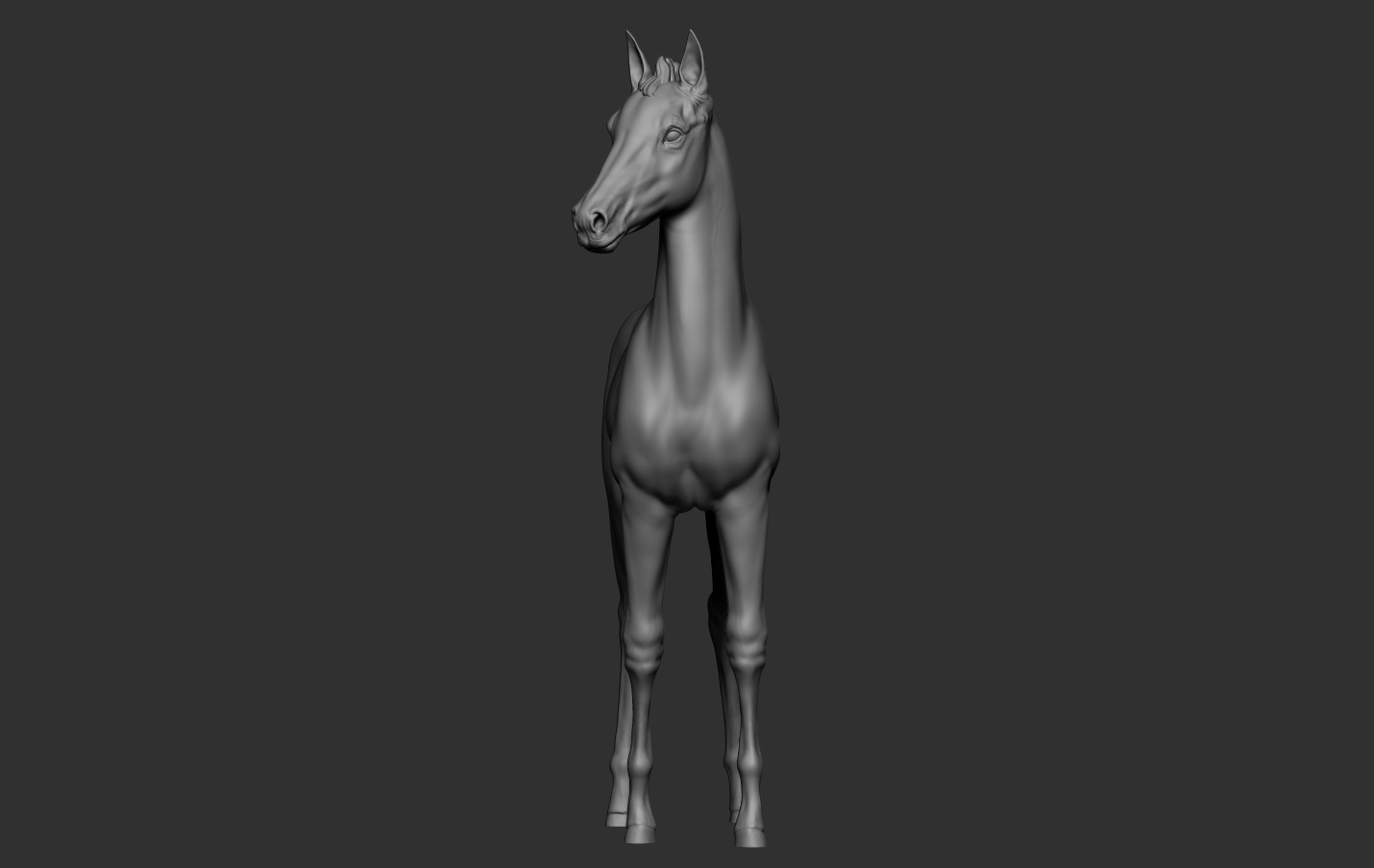 Horse Foal 3D print model_11