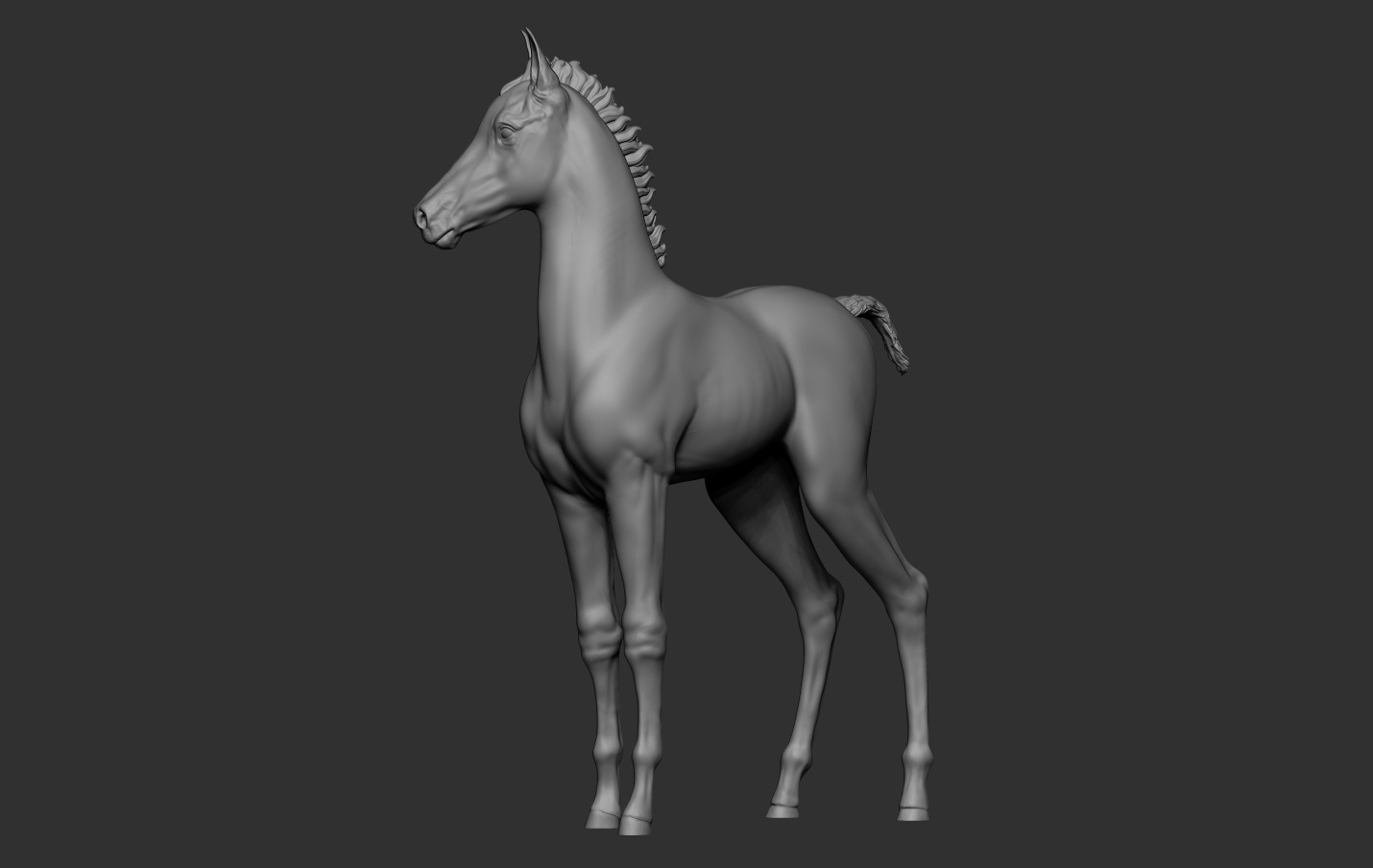 Horse Foal 3D print model_12
