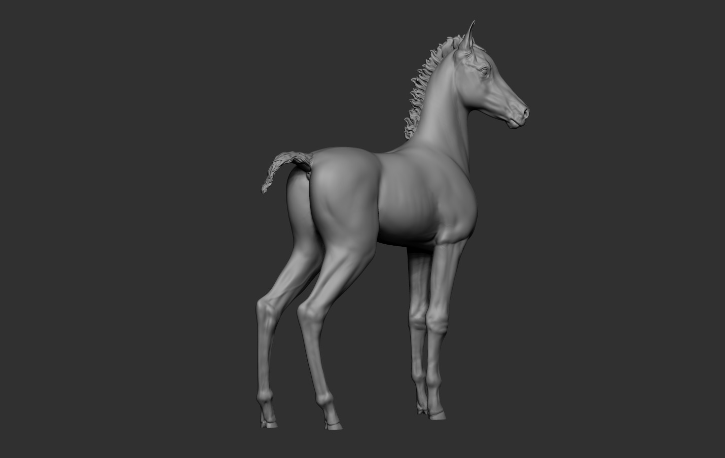 Horse Foal 3D print model_16