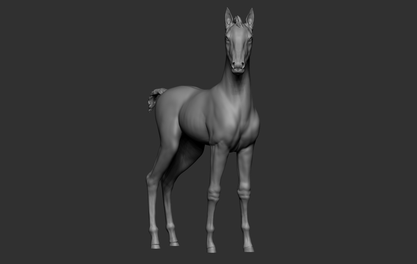 Horse Foal 3D print model_10