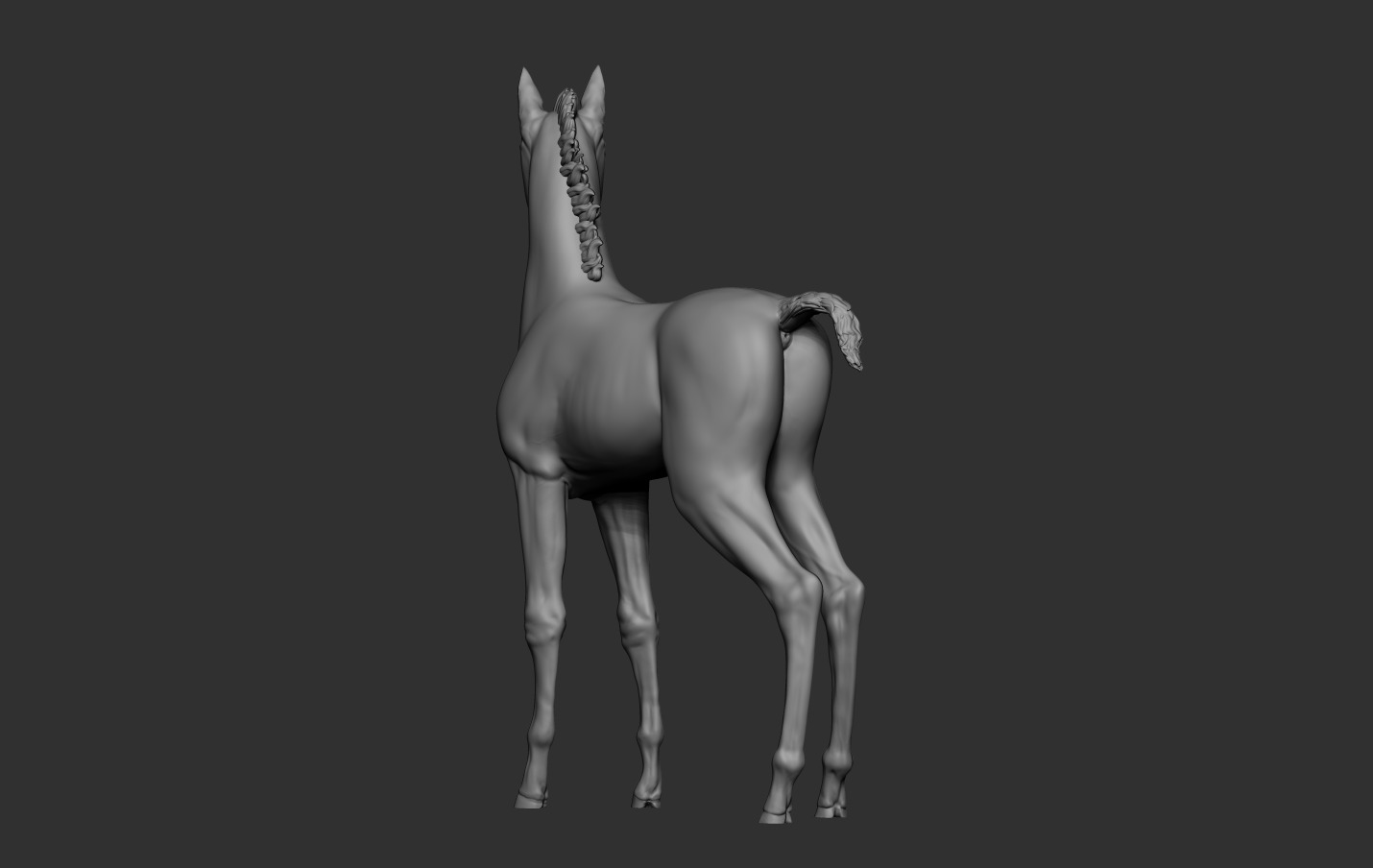 Horse Foal 3D print model_14