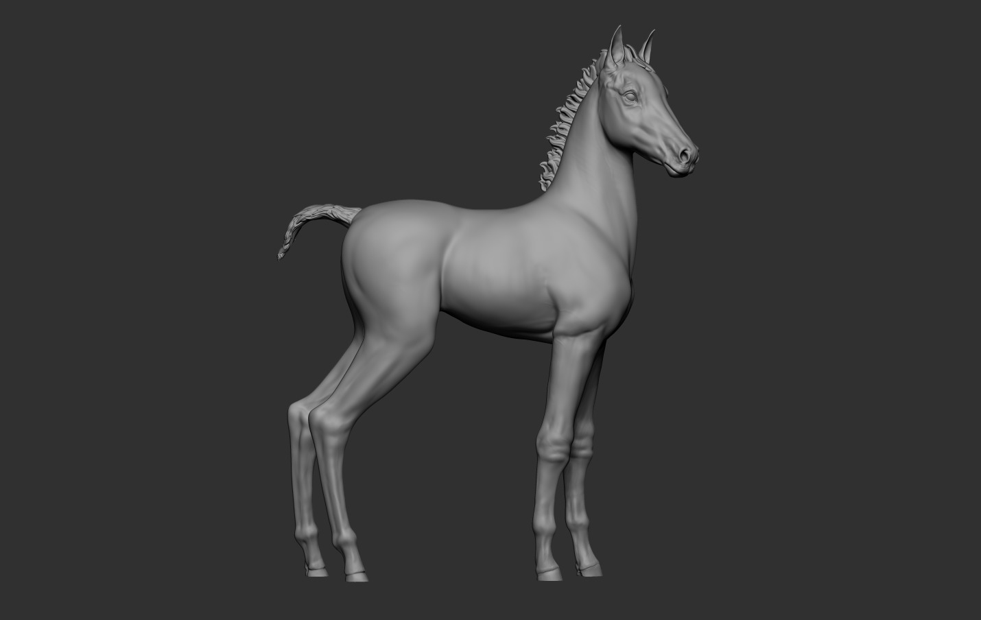Horse Foal 3D print model_9