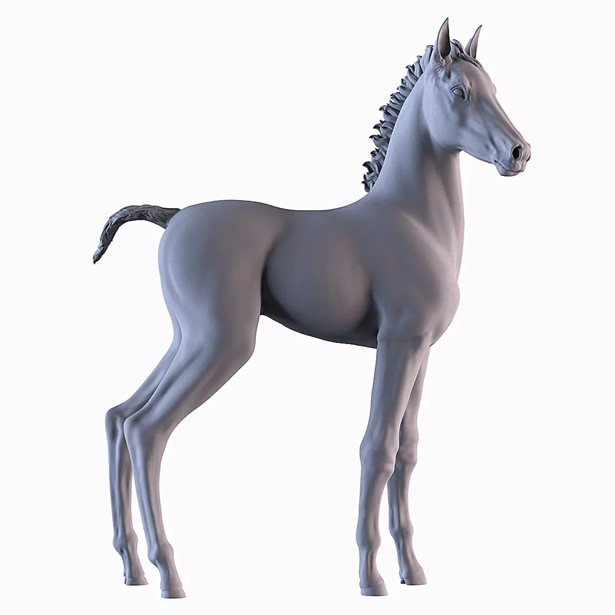 Horse Foal 3D print model_0
