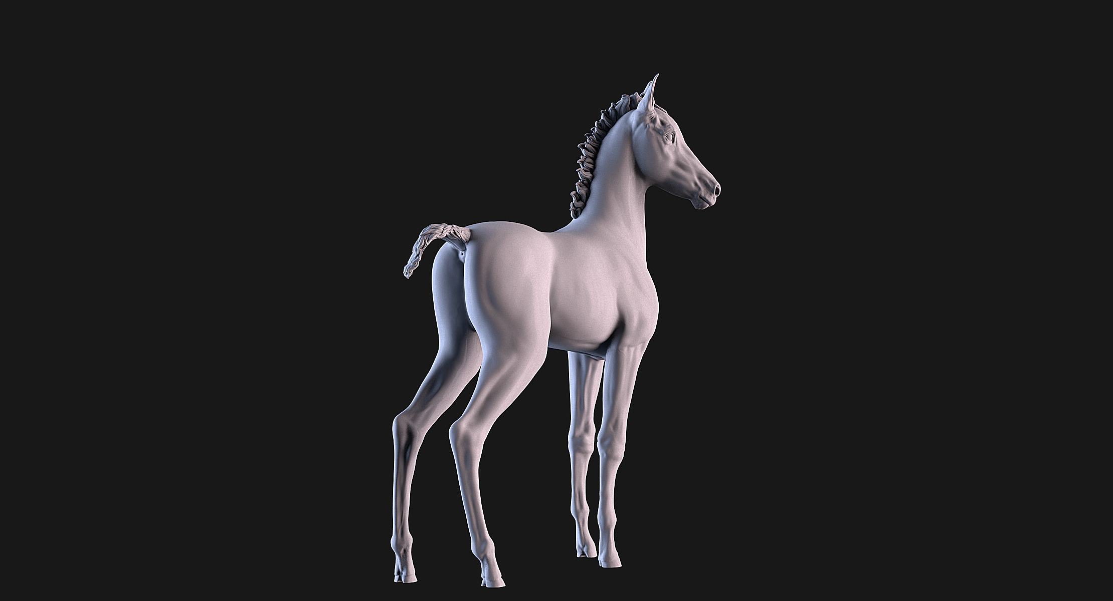Horse Foal 3D print model_8