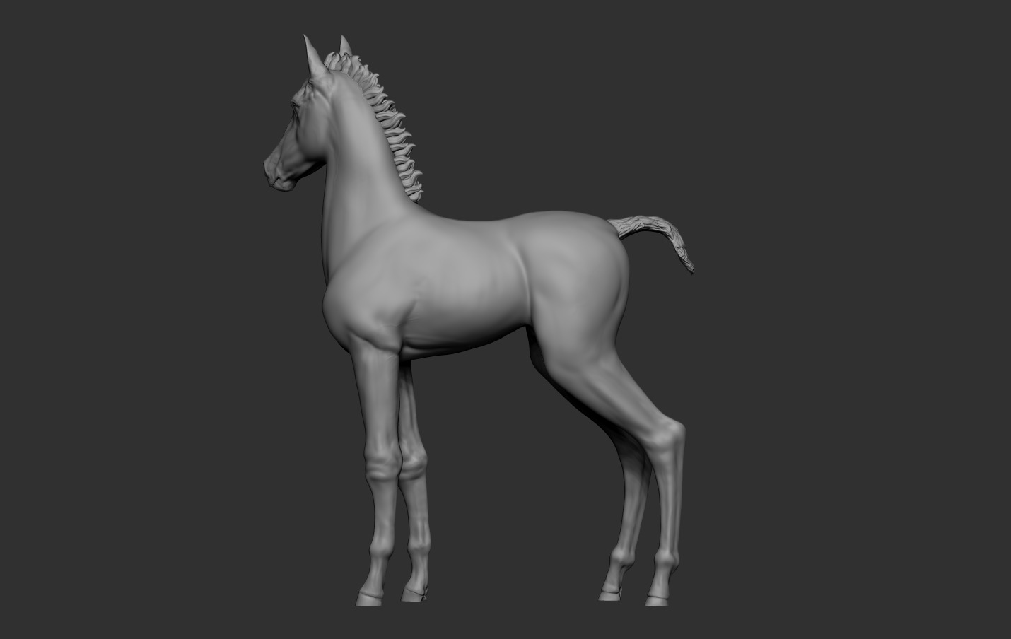 Horse Foal 3D print model_13