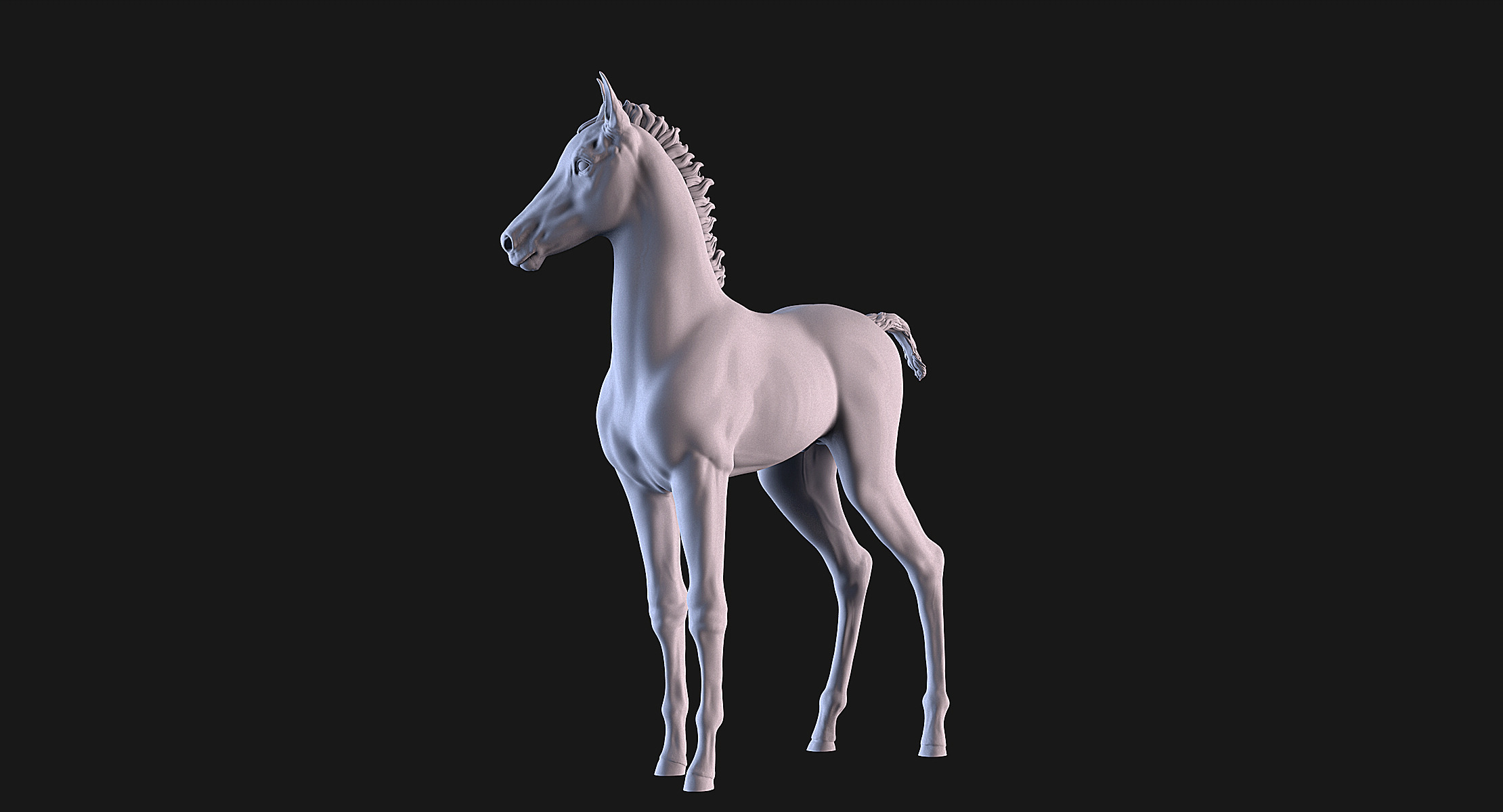 Horse Foal 3D print model_4