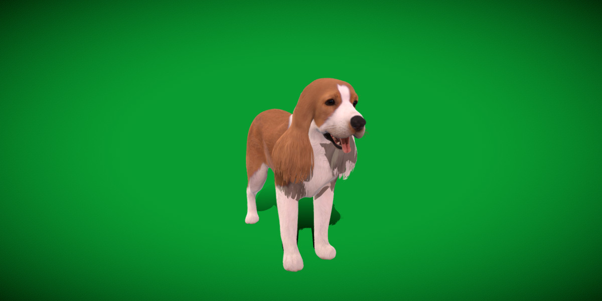 English Cocker Spaniel Dog Low-poly 3D model_31