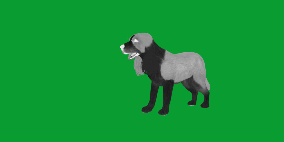 English Cocker Spaniel Dog Low-poly 3D model_7