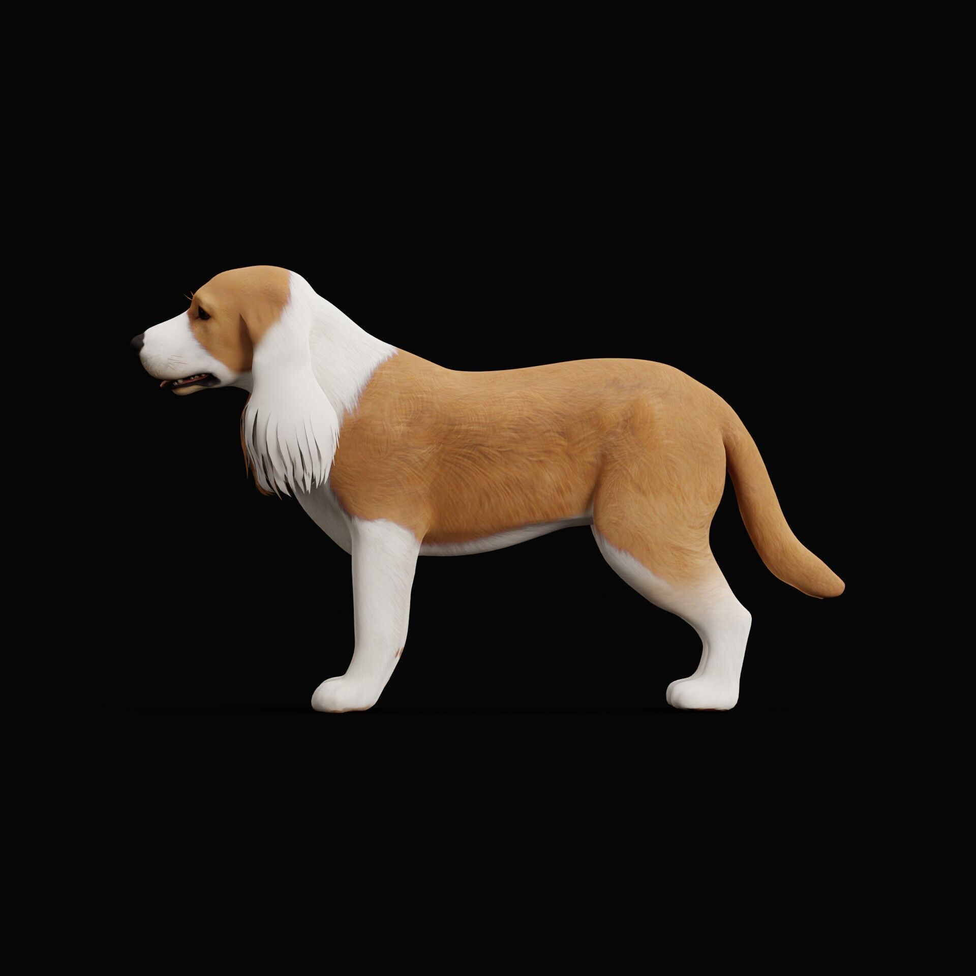 English Cocker Spaniel Dog Low-poly 3D model_47