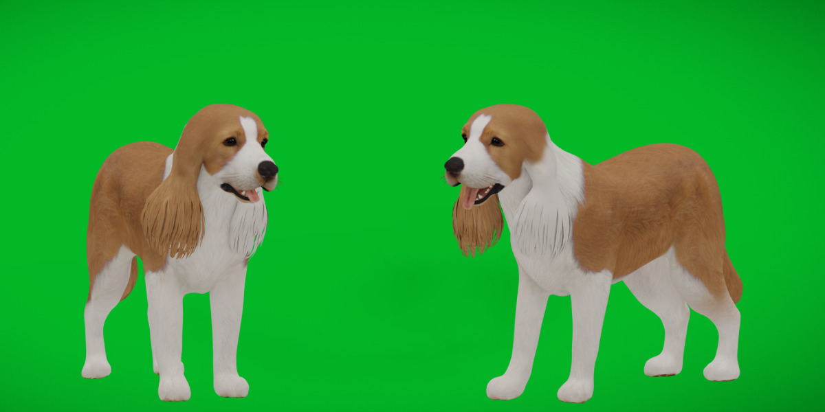 English Cocker Spaniel Dog Low-poly 3D model_38