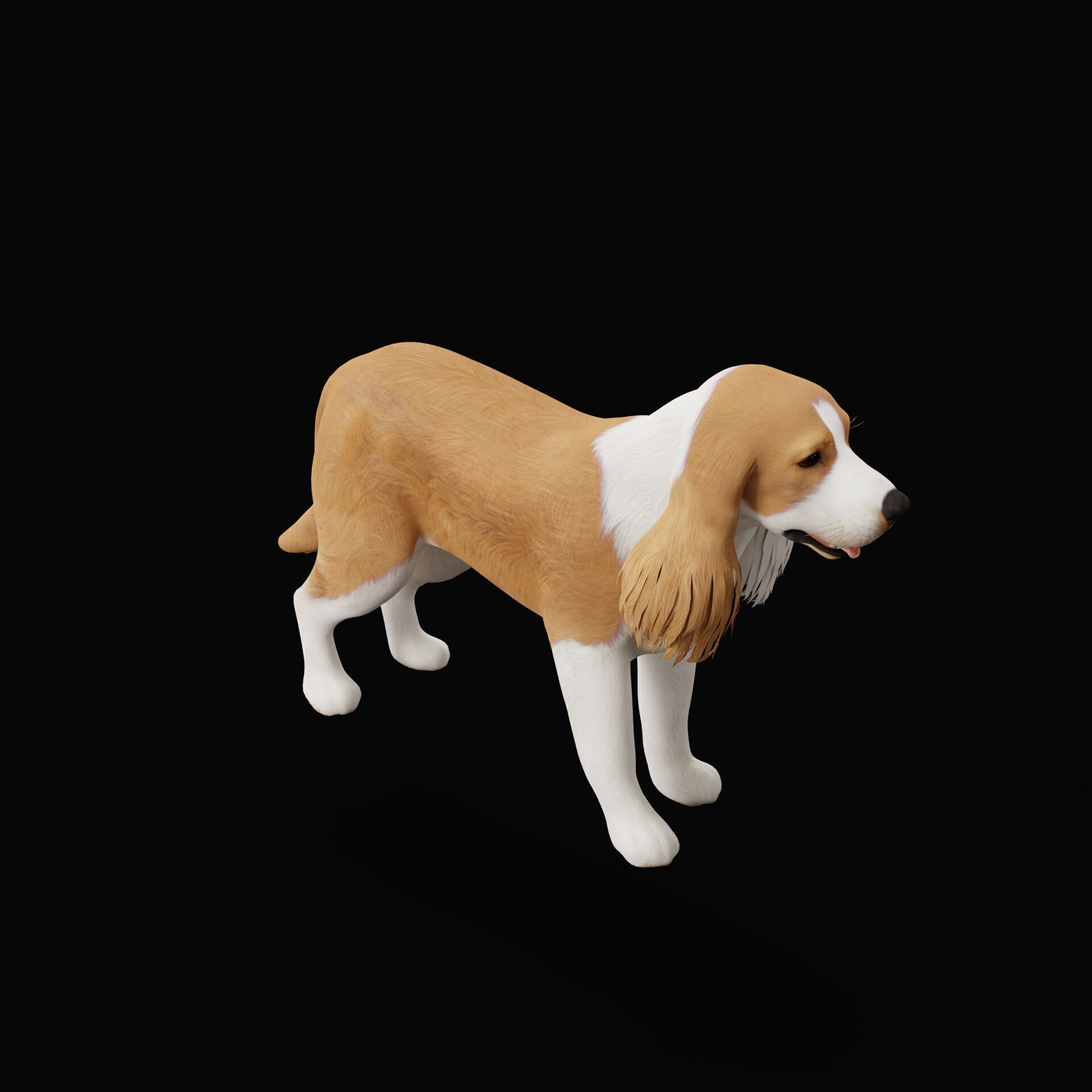English Cocker Spaniel Dog Low-poly 3D model_49