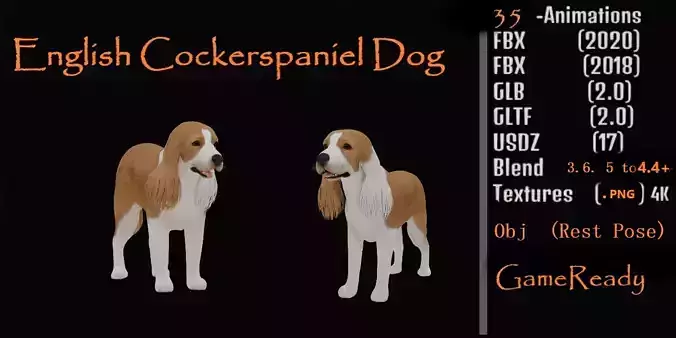 English Cocker Spaniel Dog