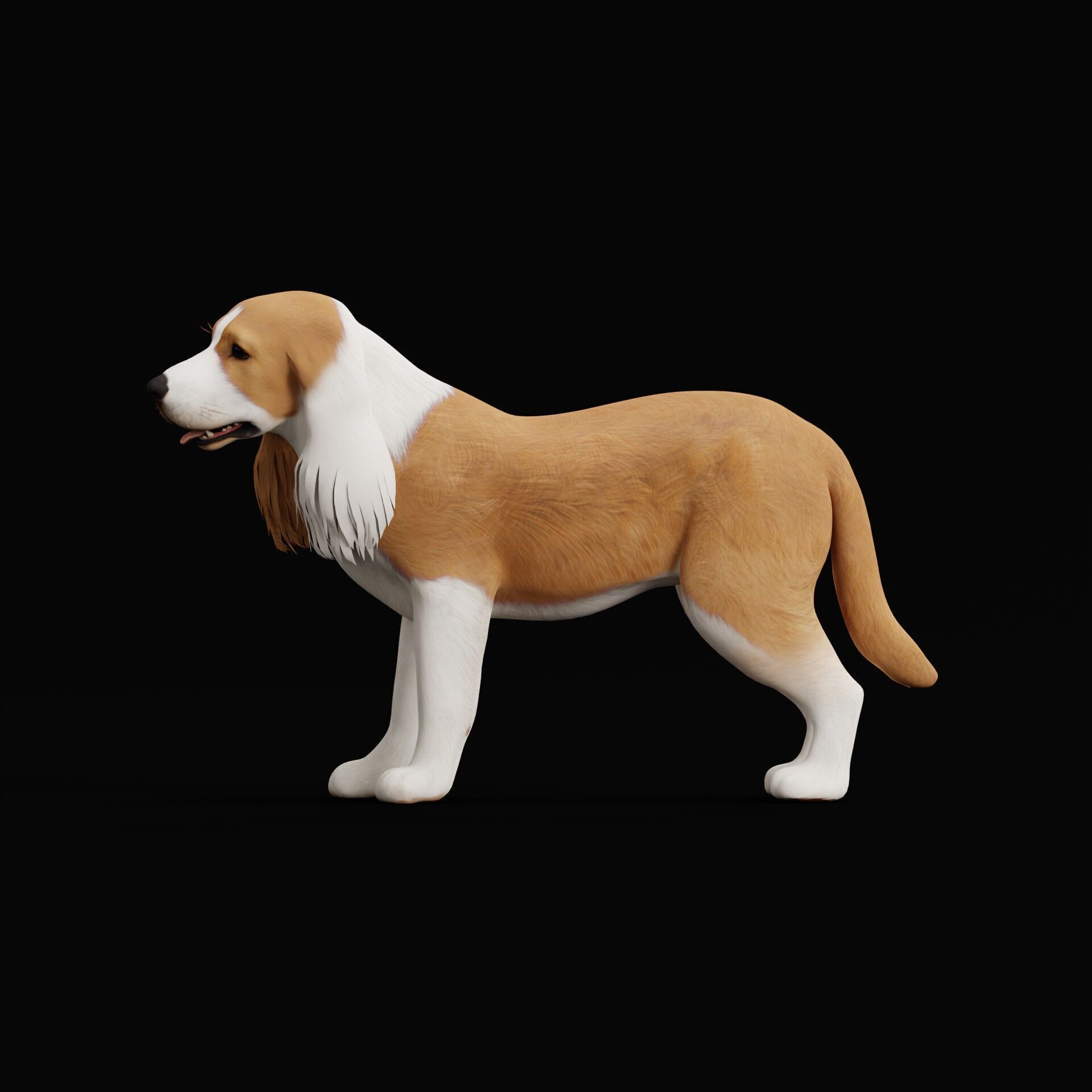 English Cocker Spaniel Dog Low-poly 3D model_41