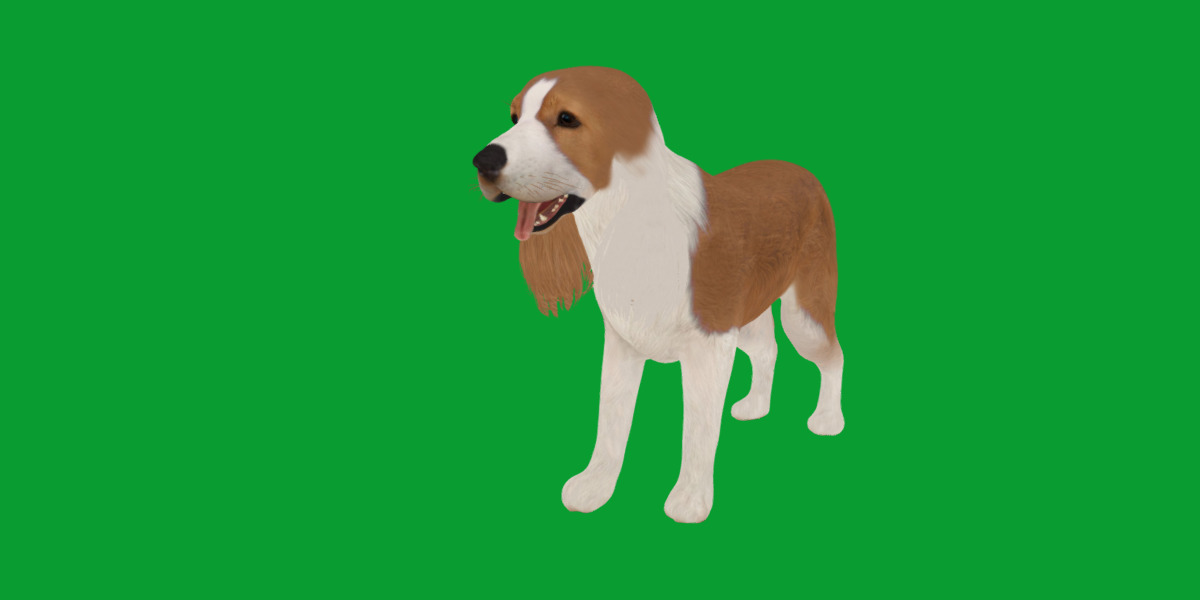 English Cocker Spaniel Dog Low-poly 3D model_15