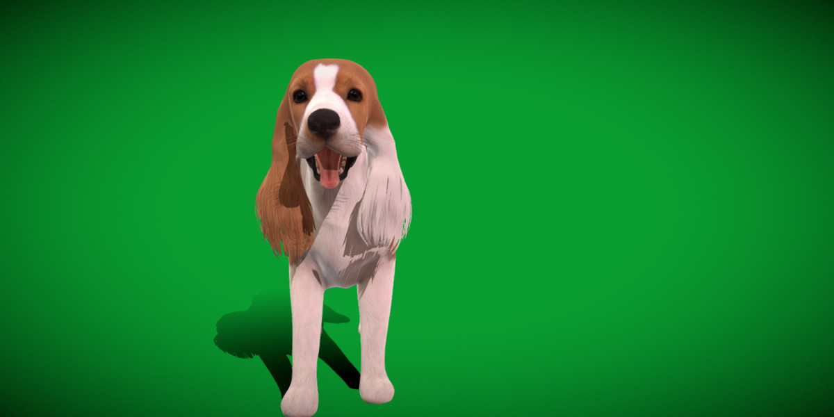 English Cocker Spaniel Dog Low-poly 3D model_23