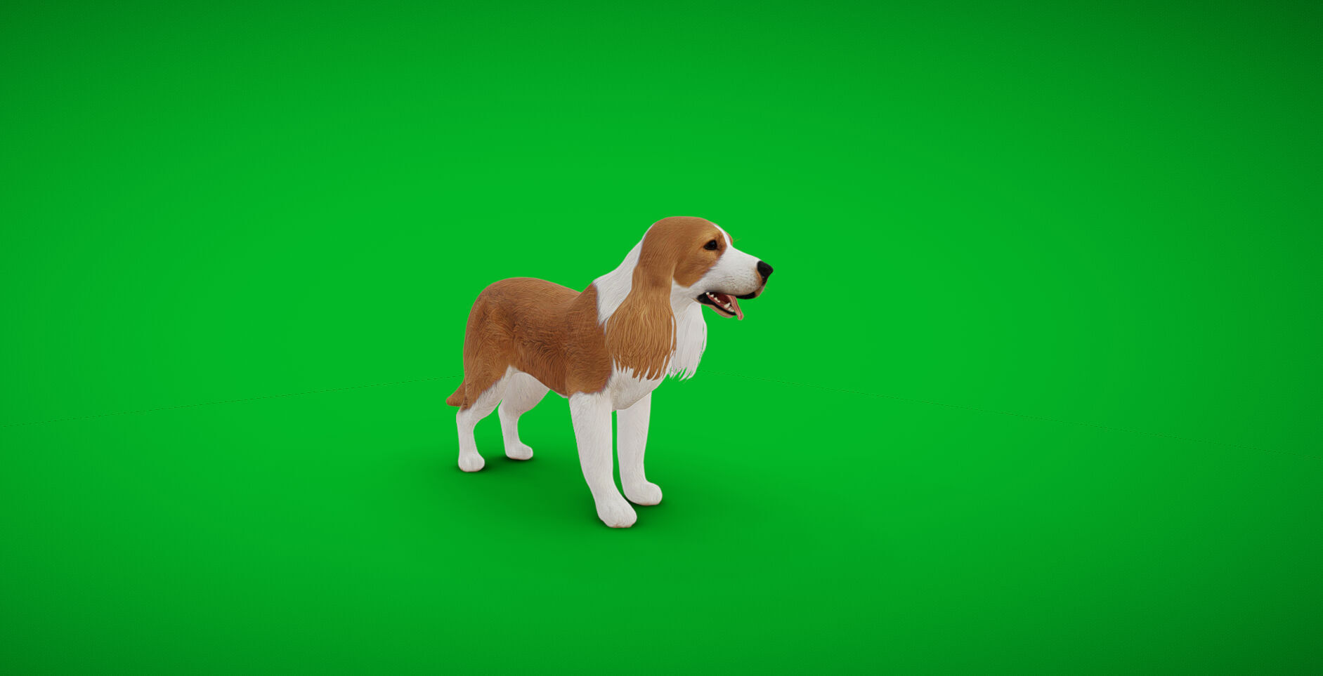 English Cocker Spaniel Dog Low-poly 3D model_39