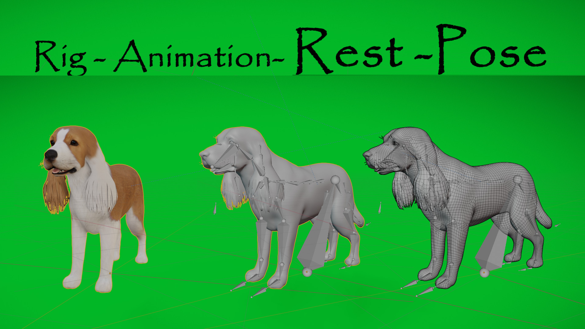 English Cocker Spaniel Dog Low-poly 3D model_4