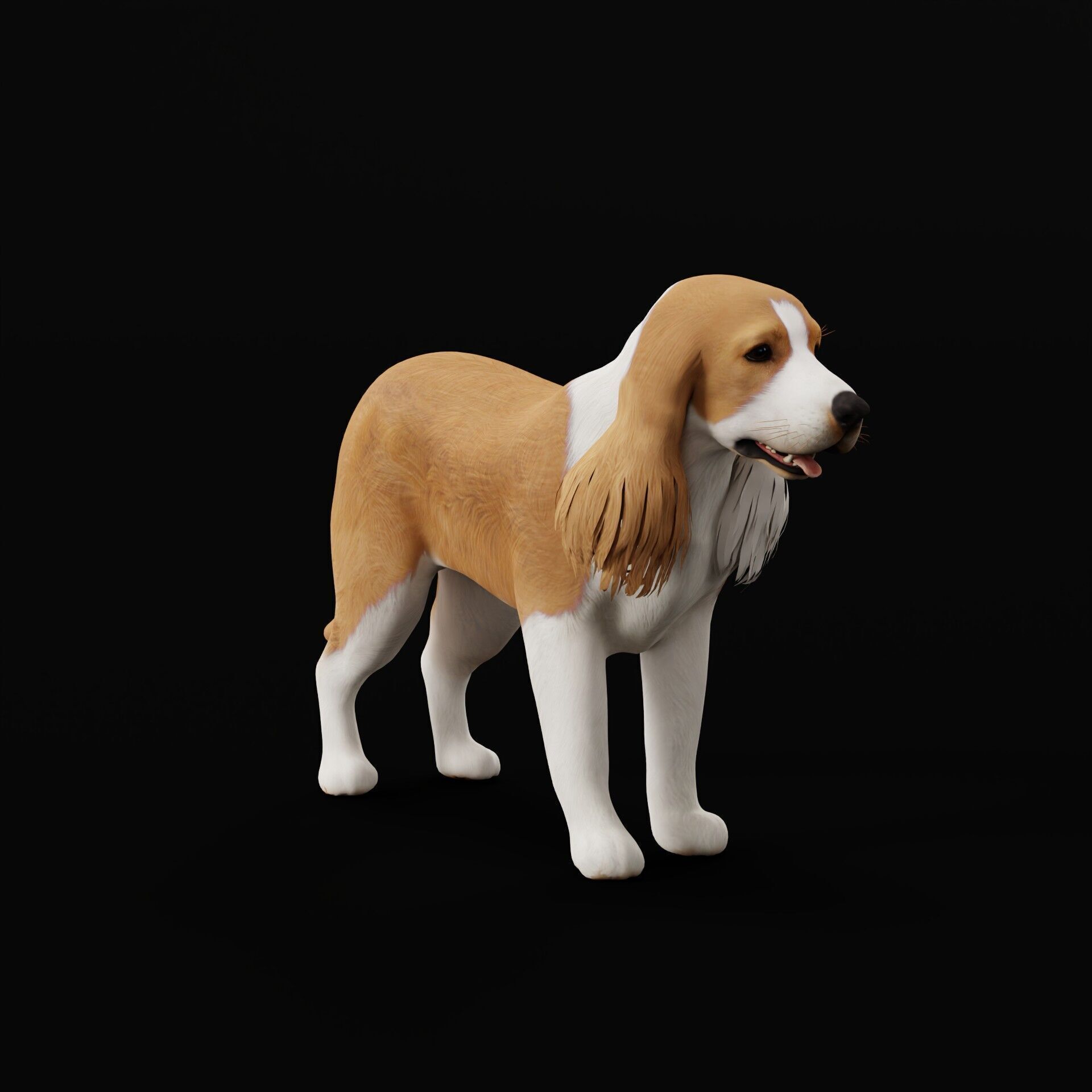 English Cocker Spaniel Dog Low-poly 3D model_42